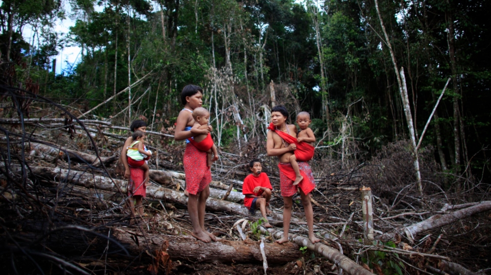 indigenous brazil