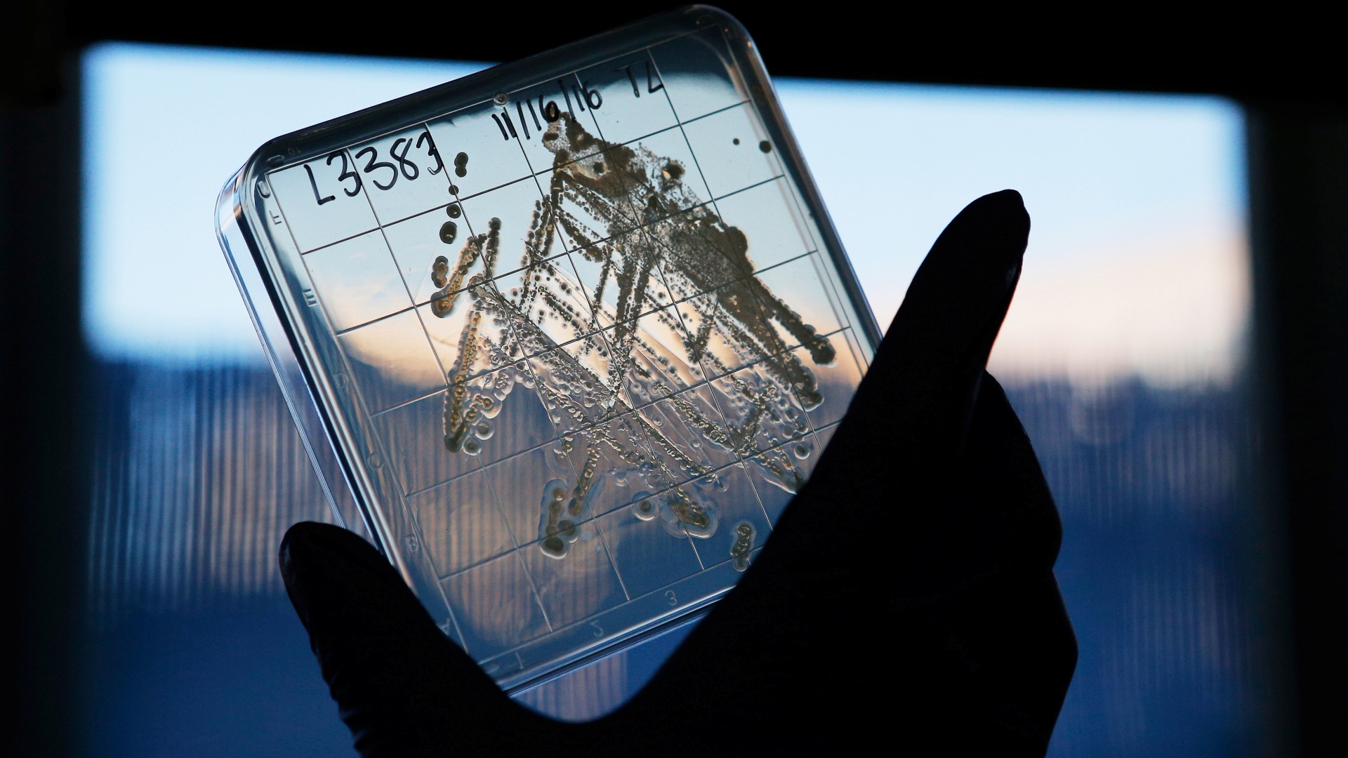 Doctor''s note - antibiotics