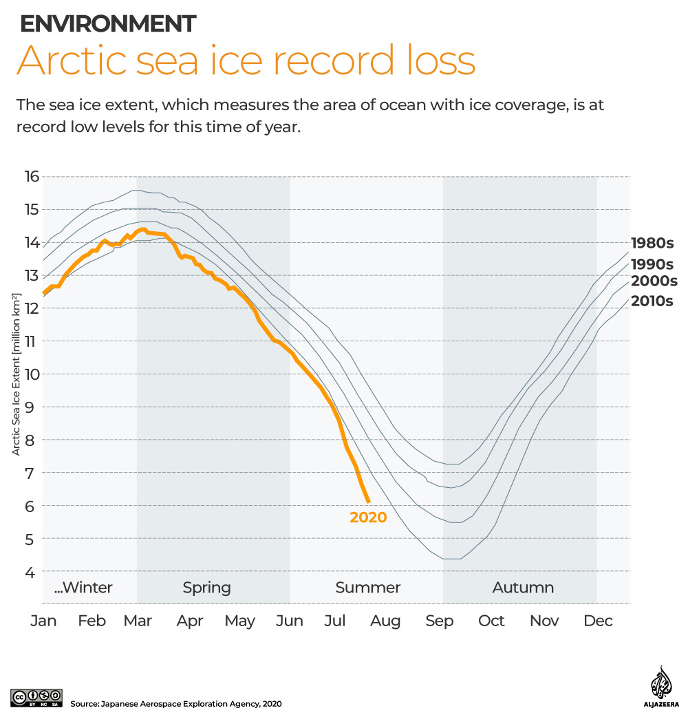 Interactive: Green Read - Arctic Sea