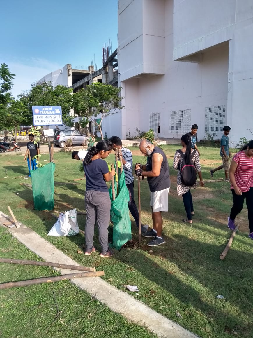 Tree walks in Chennai