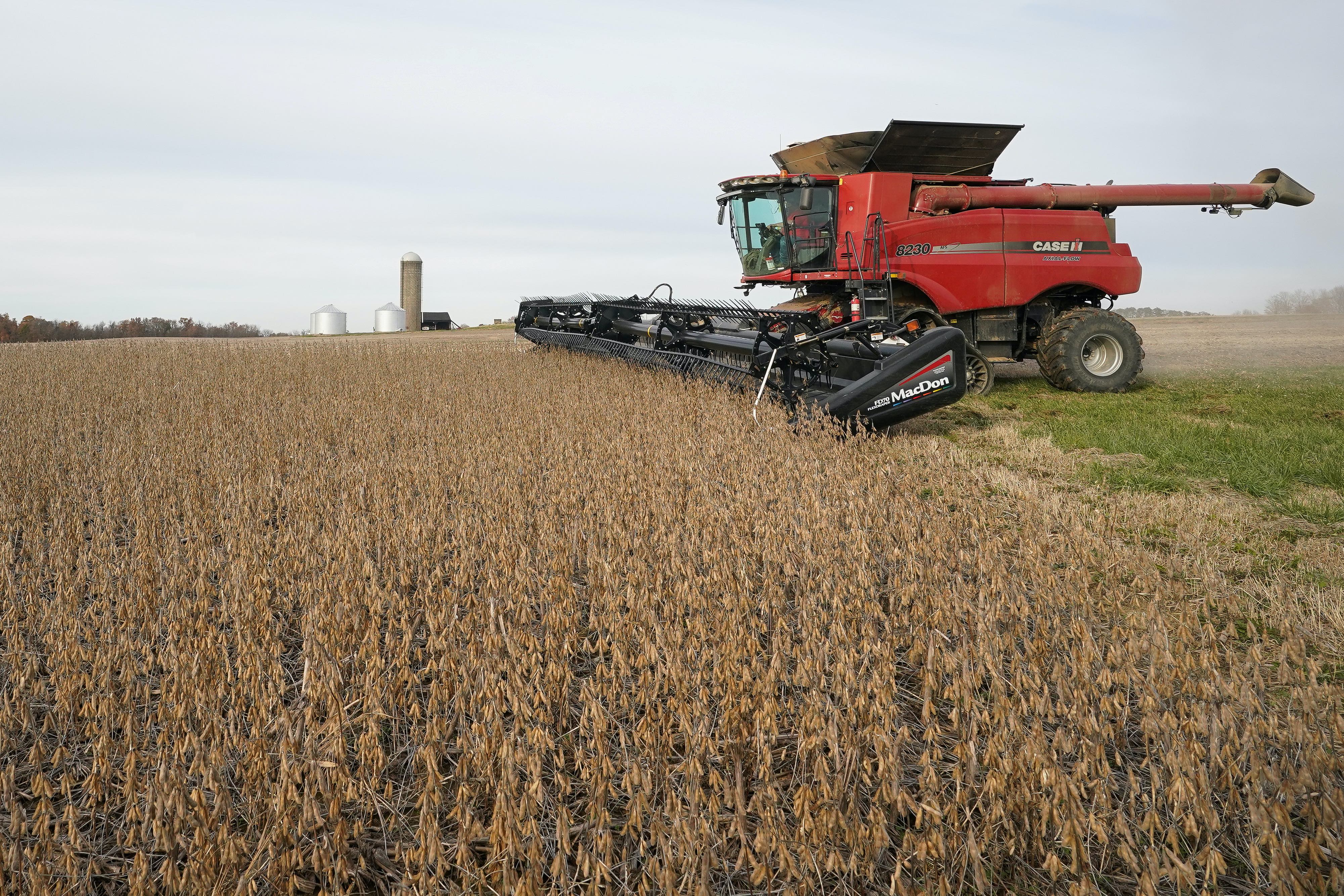 Trade soybeans