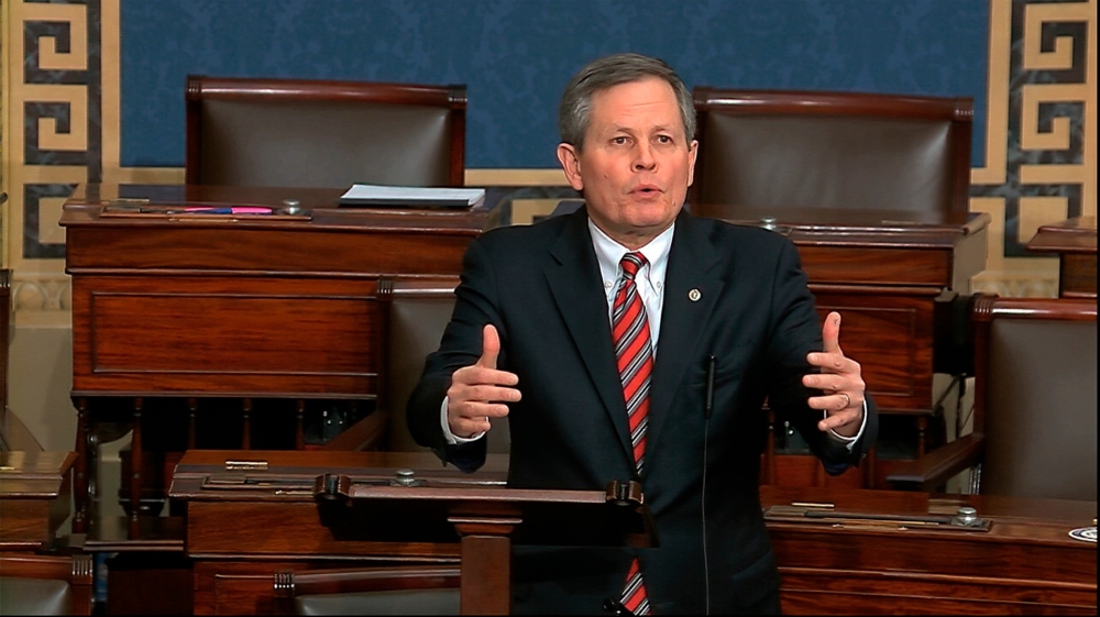Steve DAines