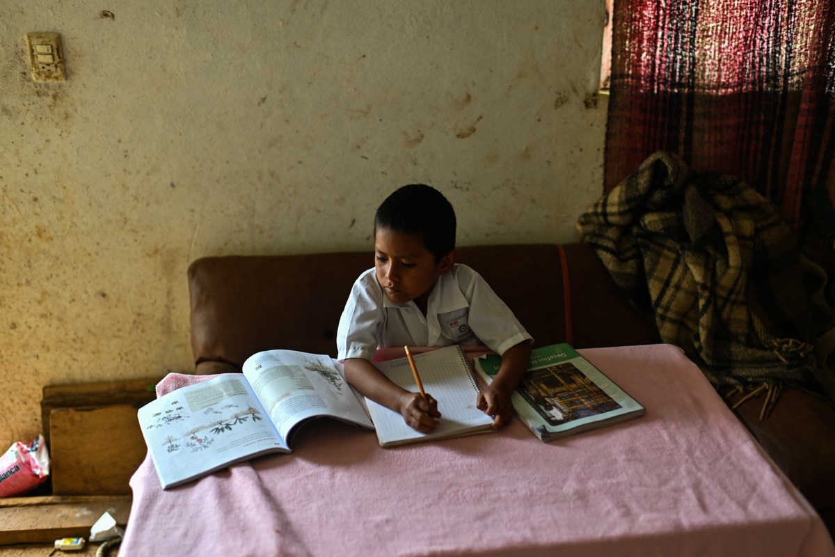 Gildardo Rojas (L) takes a lesson at his house in San Miguel Amoltepec Viejo, Guerrero state, Mexico, on September 8, 2020, amid the COVID-19 coronavirus pandemic. - Teachers resist abandoning their s