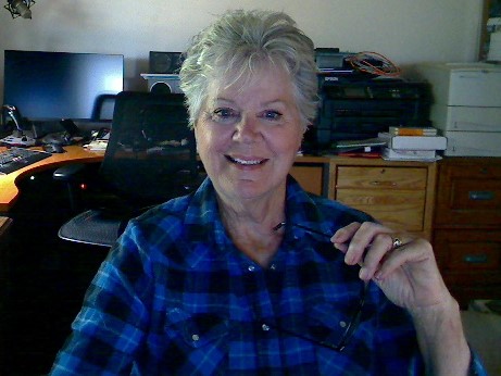 American Voter Deana Wagner