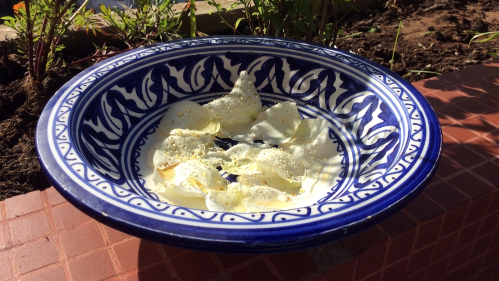 Medieval Arabic Cookbooks /  Marcia Lynx Qualey