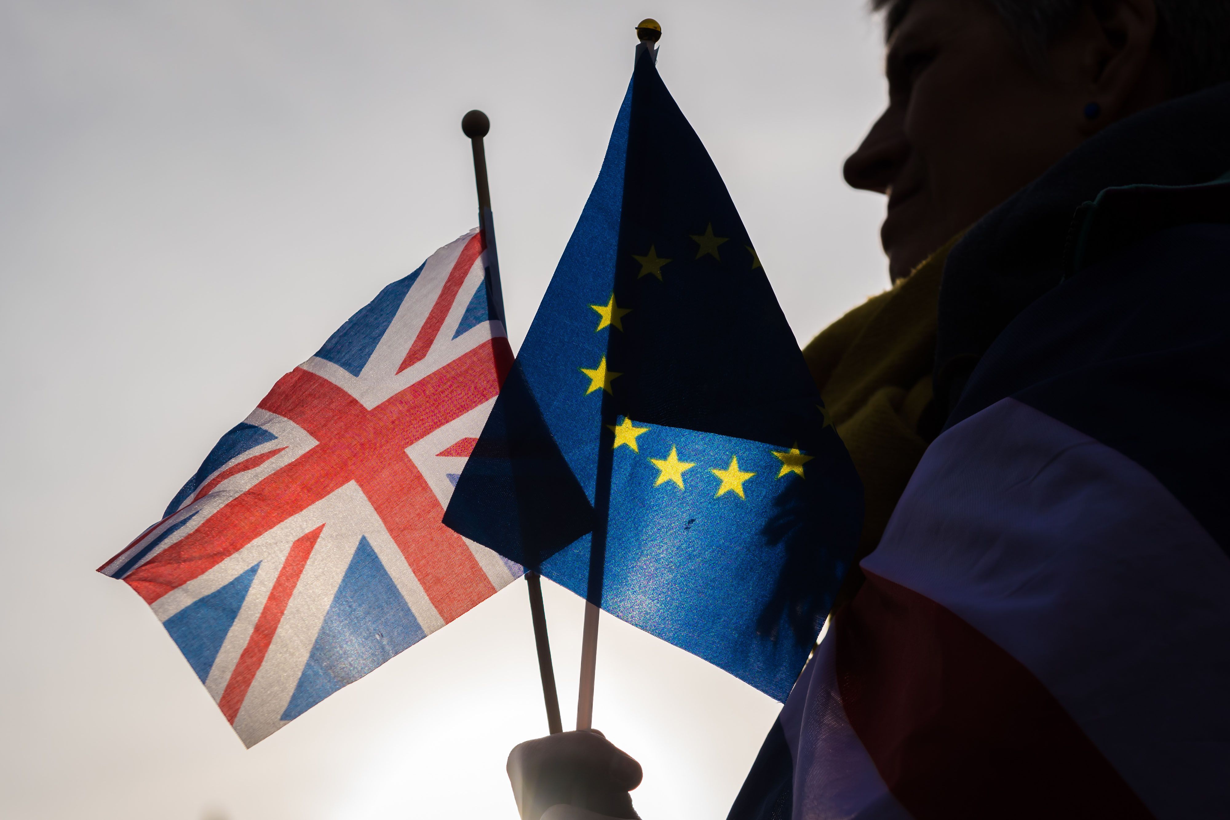 The UK formally left the EU on January 31 and entered a transition period during which its trading relationship has been maintained until the end of 2020