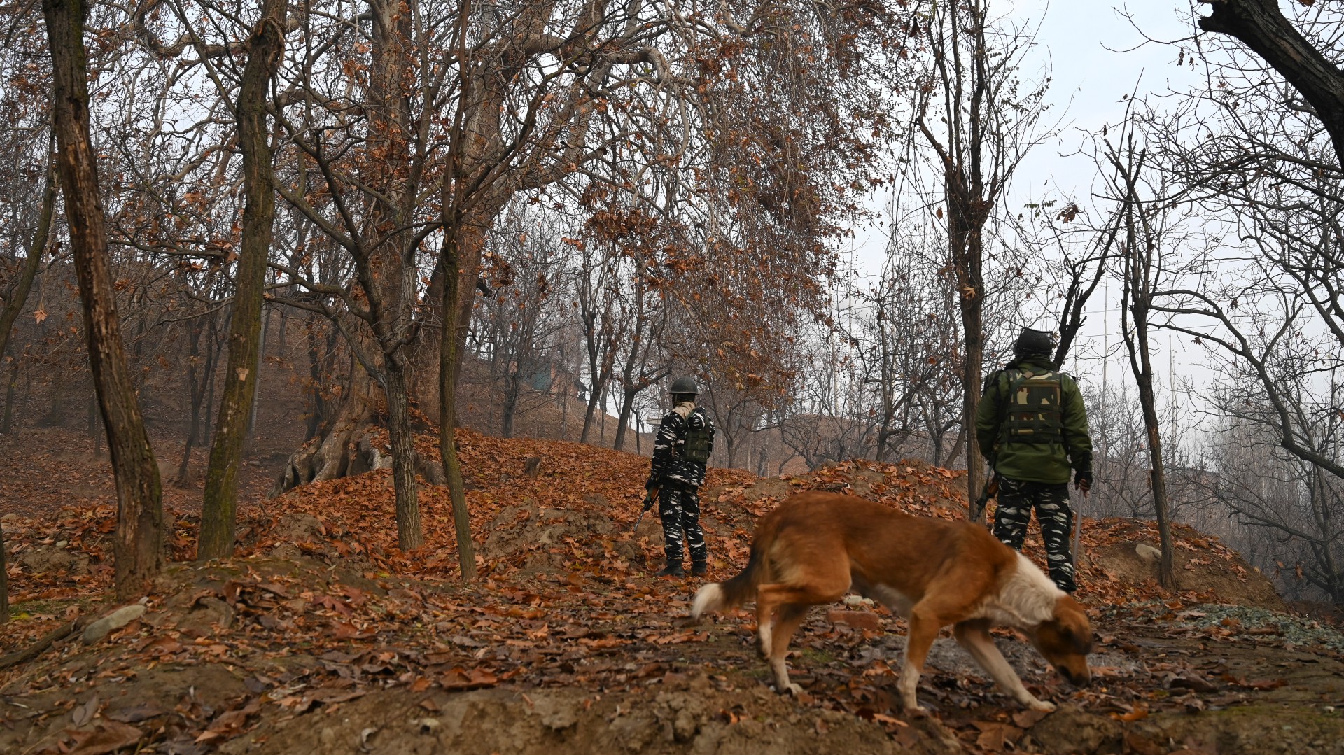 Kashmir DDC elections