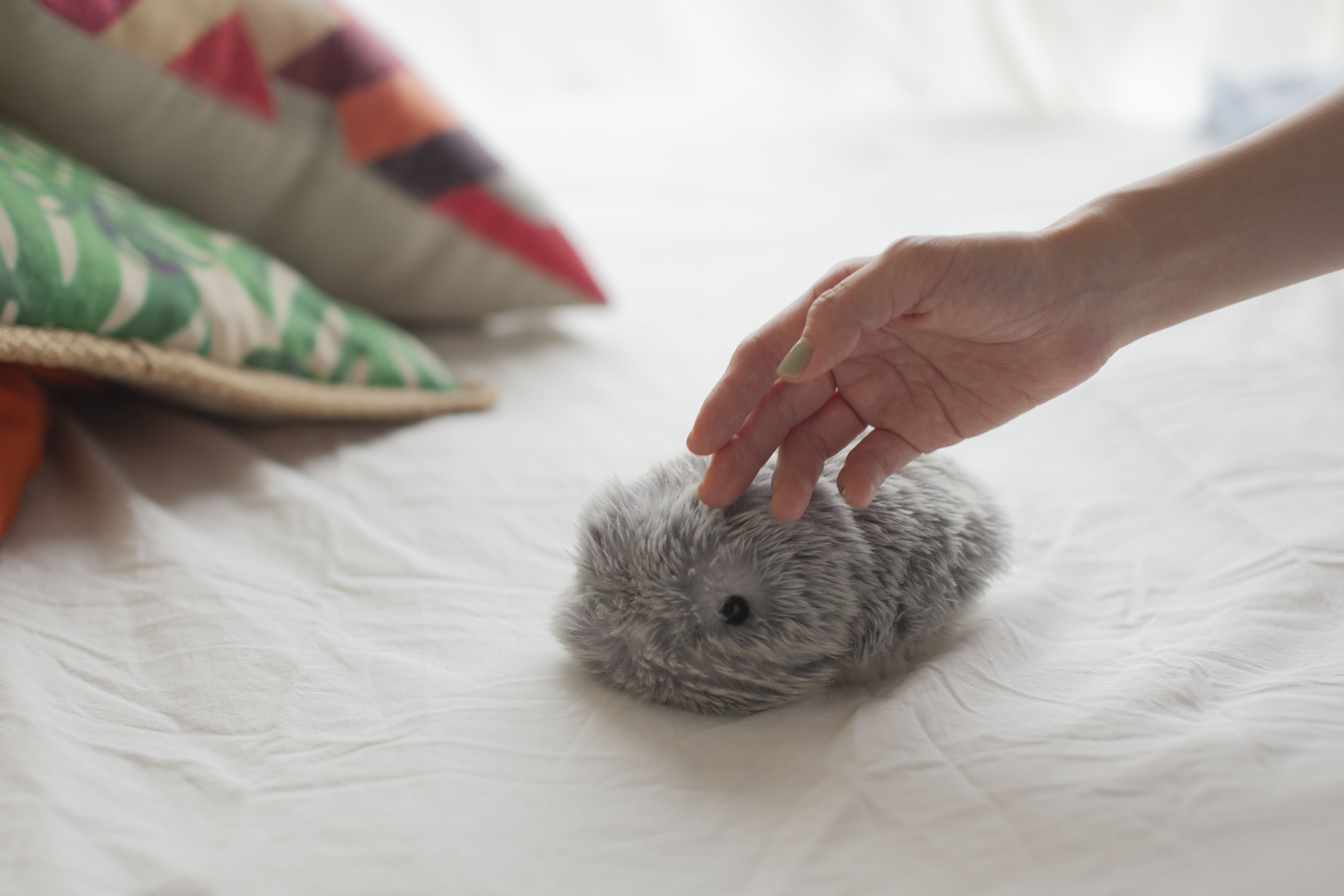 Inventors debuted a host of AI gadgets at the first-ever fully virtual Consumer Electronics Show, including the MOFLIN robotic pet [Courtesy: Vanguard Industries]