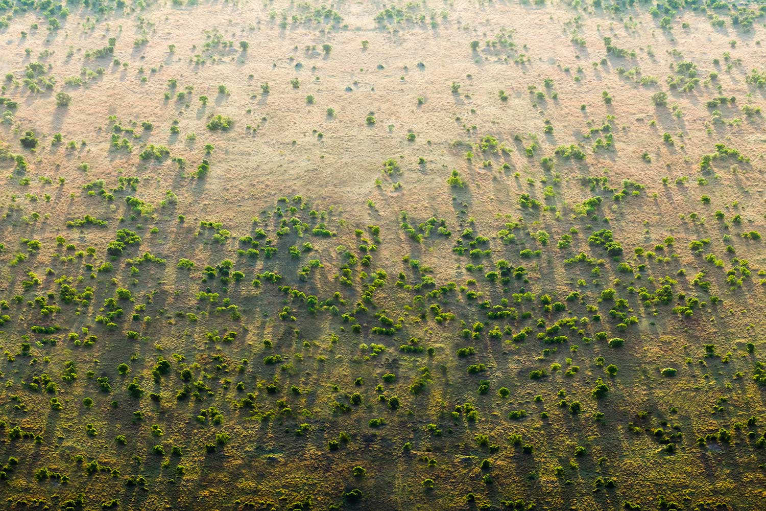 The Great Green Wall Initiative, which was launched by the AU in 2007, is aiming to restore 100 million hectares of degraded land across the Sahel in an 8,000 km-long strip, sequester 250 million tons of carbon, and create 10 million jobs in rural areas by 2030 [greatgreenwall.org]