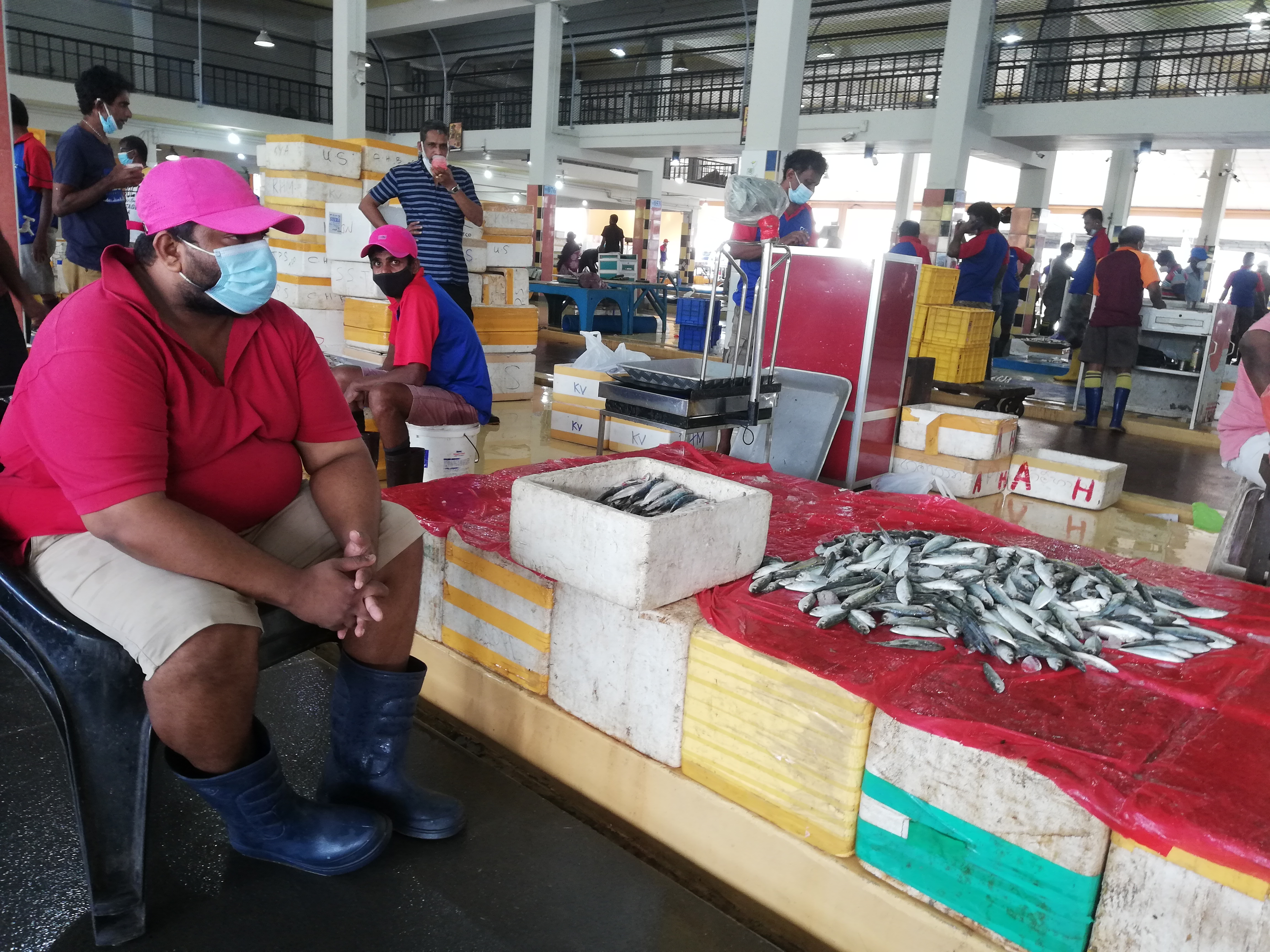 Tharanga sits at his fish stall in Peliyagoda