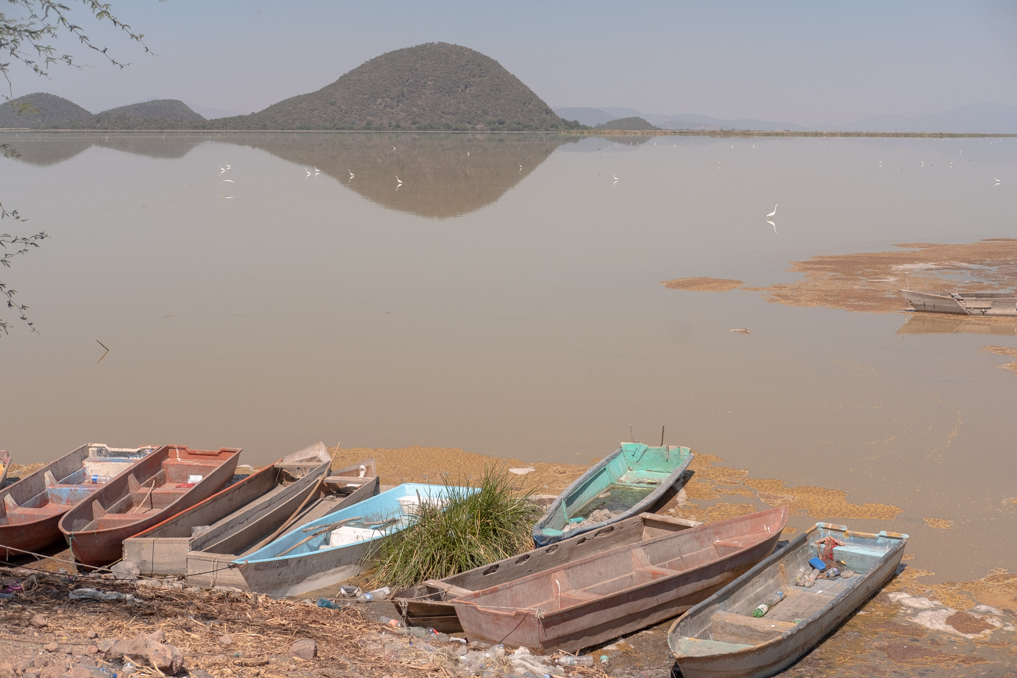 Boats rest in some of the last remaining water in Lake Cuitzeo near Iramuco. Egrets can be seen standing in the extremely shallow water