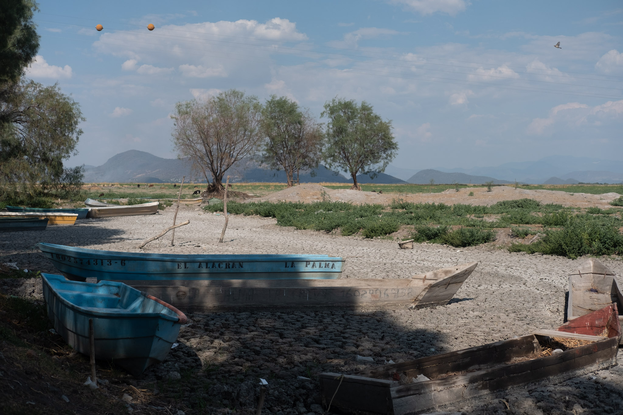 Fishing boats stuck in the dry mud in La Palma
