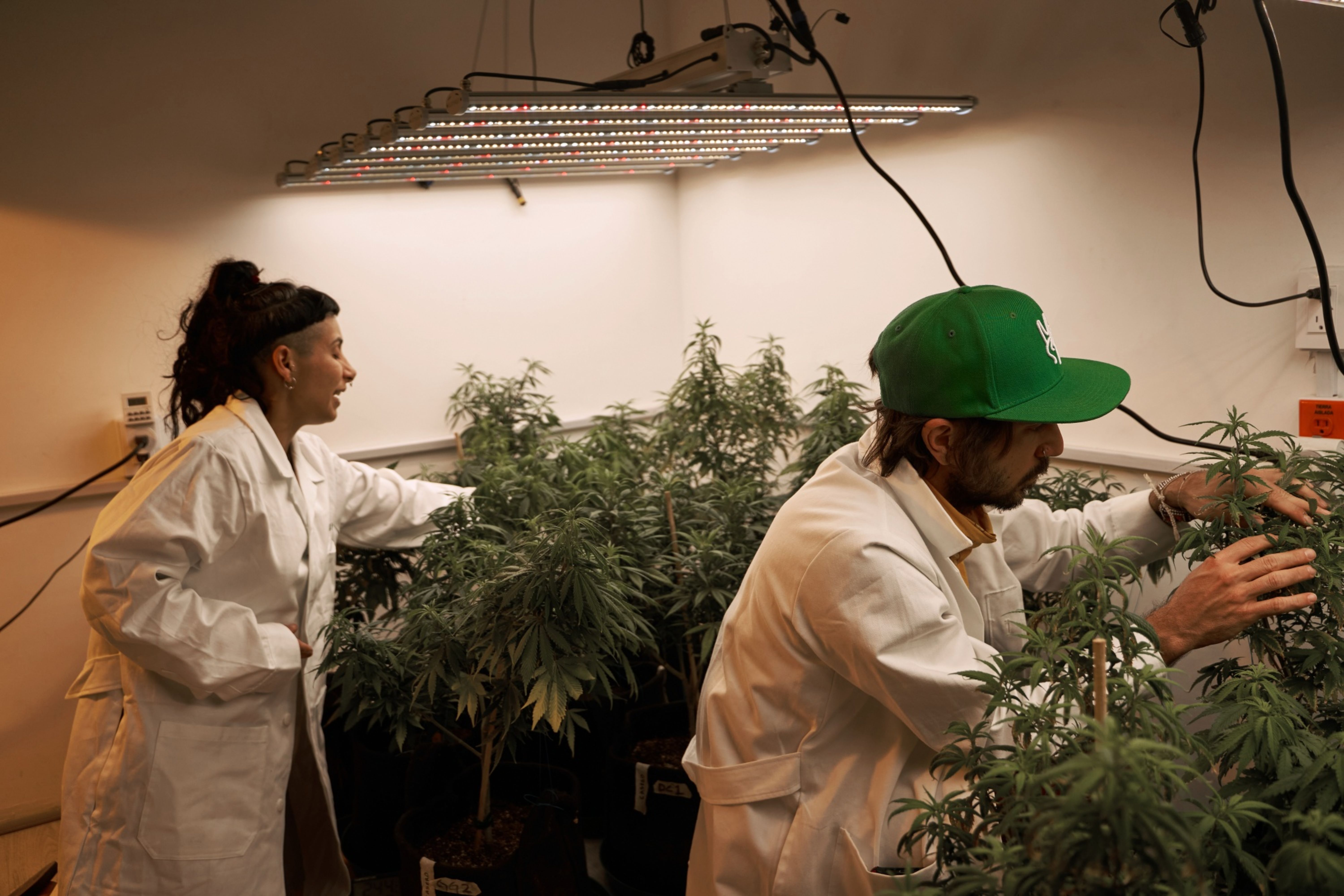 Entrepreneurs like the co-founders of Cannativa AC are hoping to cash in on legalisation as soon as it is allowed in Mexico