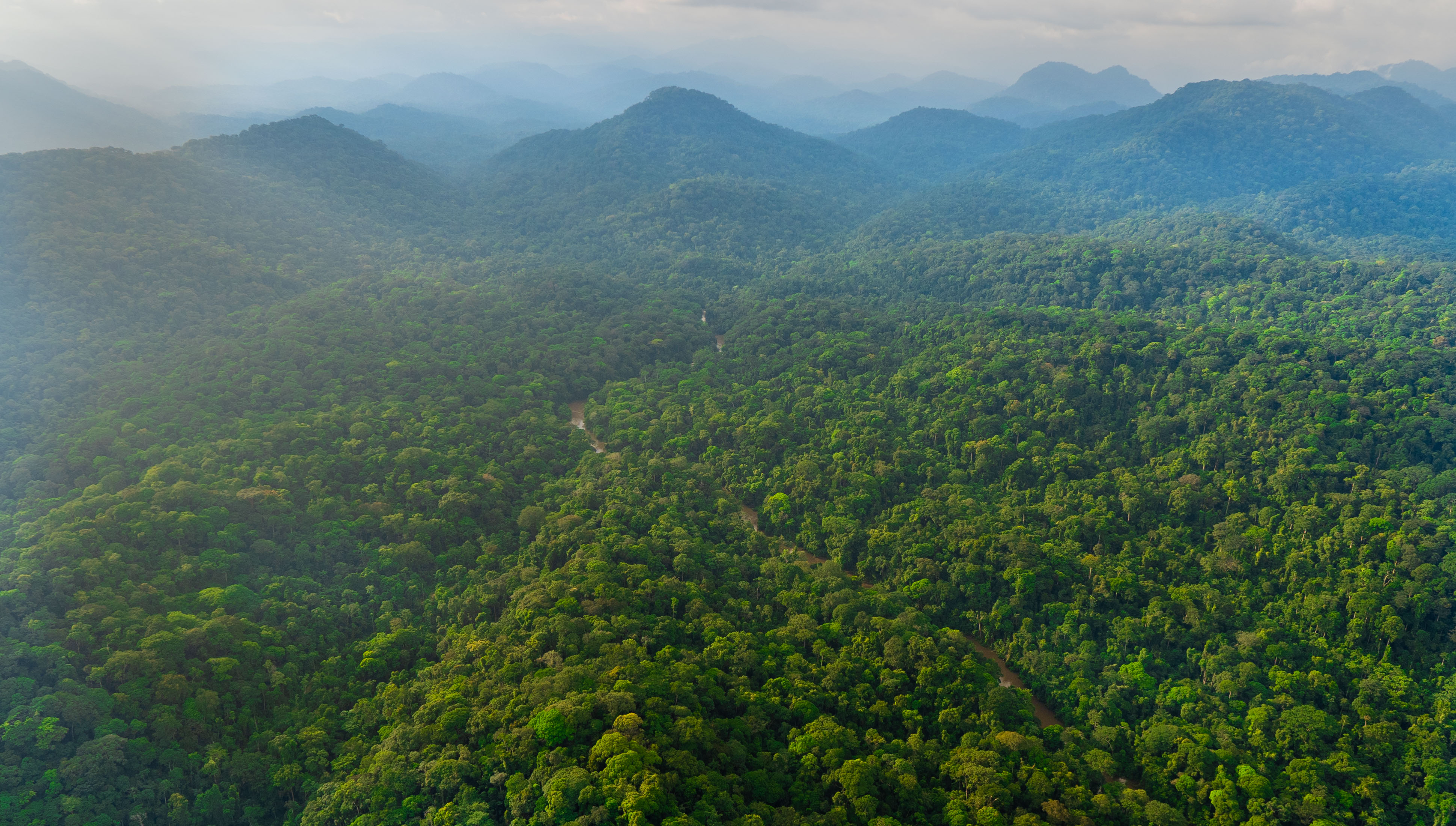 Gabon - Do not use [Gabon's Environment Ministry]