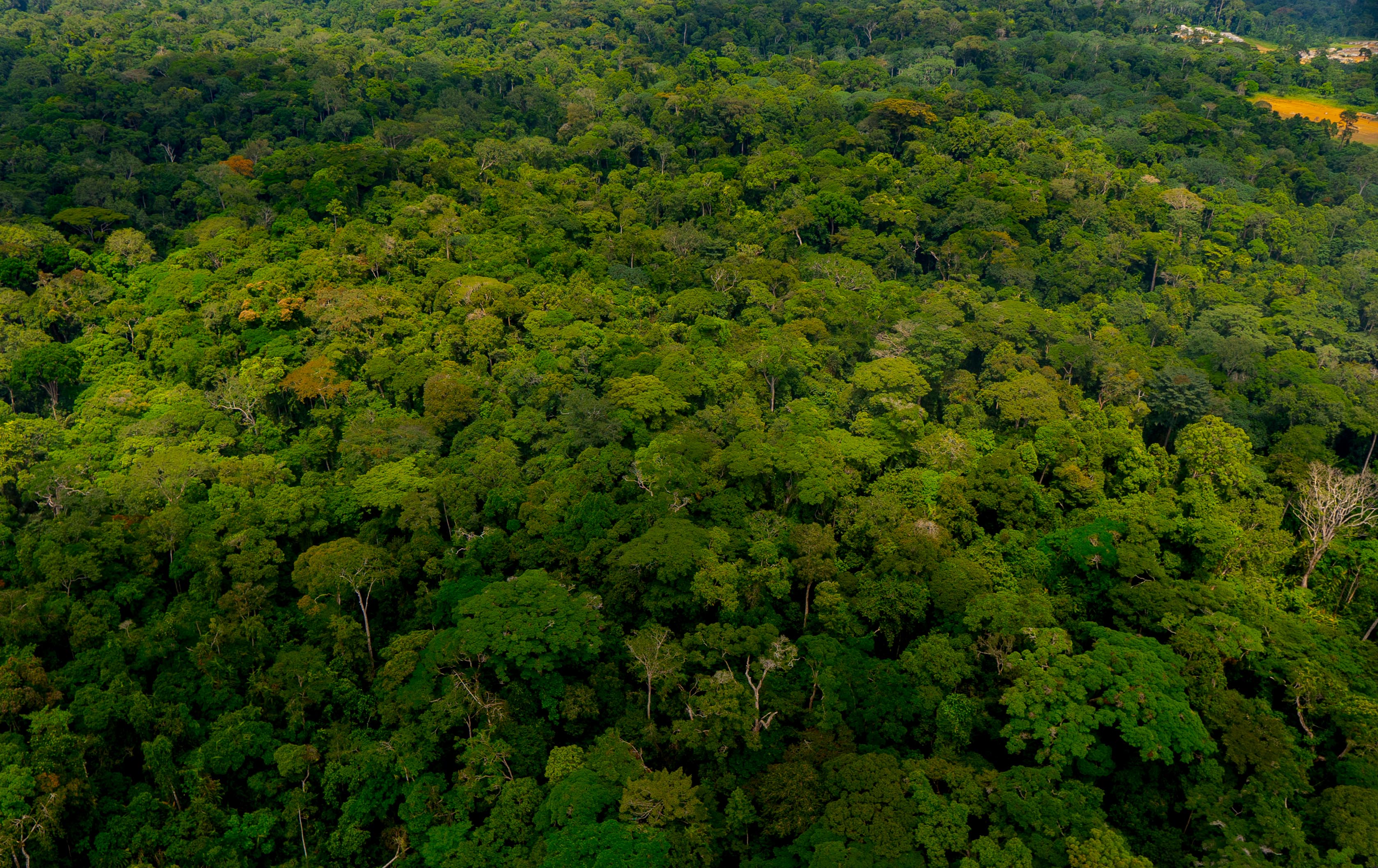 GABON