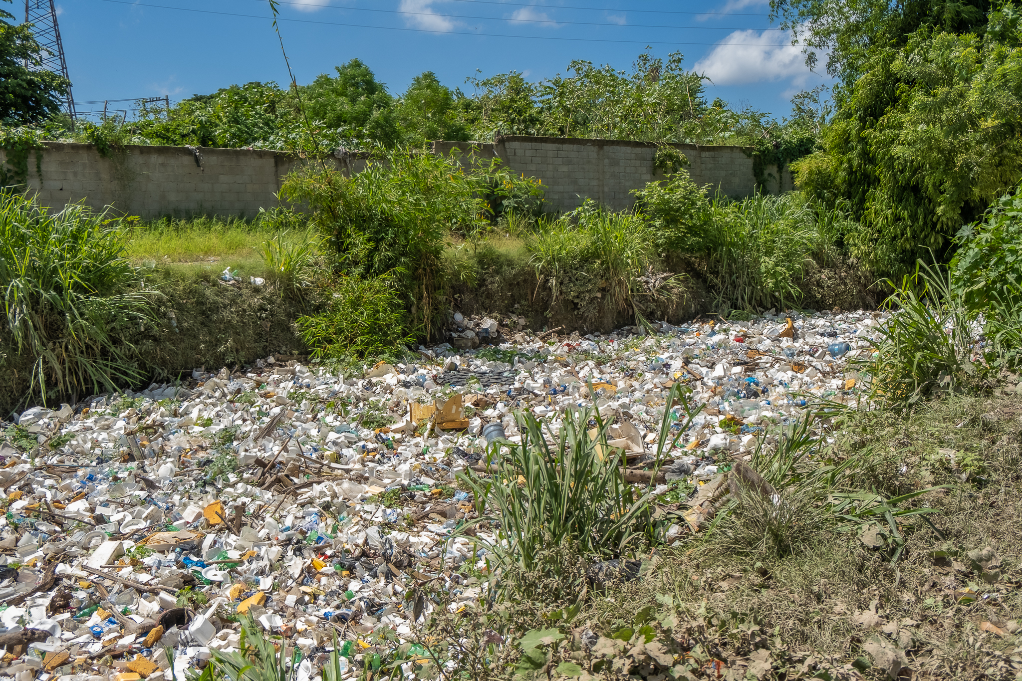 A rubbish-filled lake