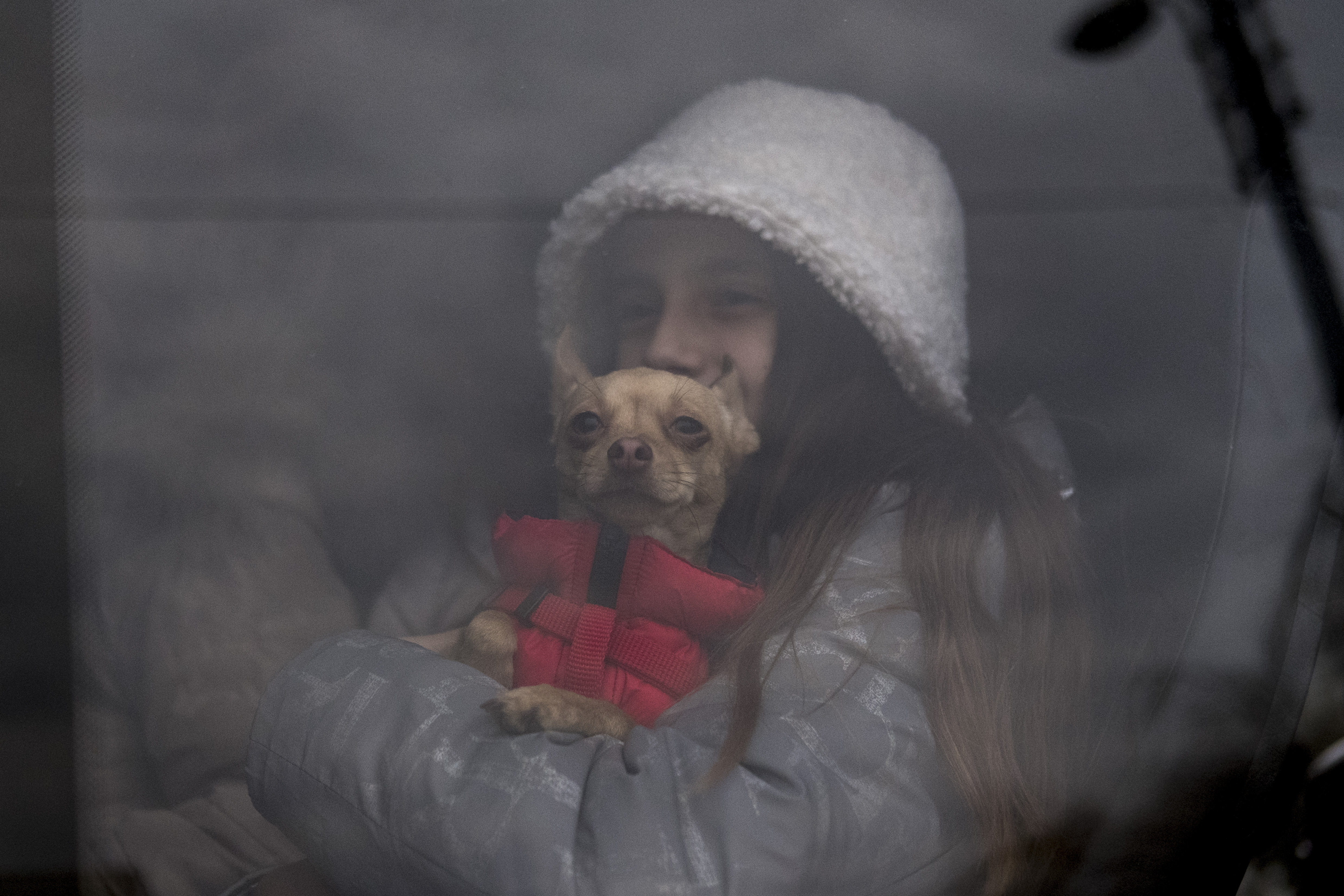 A girl holding her dog waits together with her family for the departure of a bus that takes refugees to towns nearby Siret.