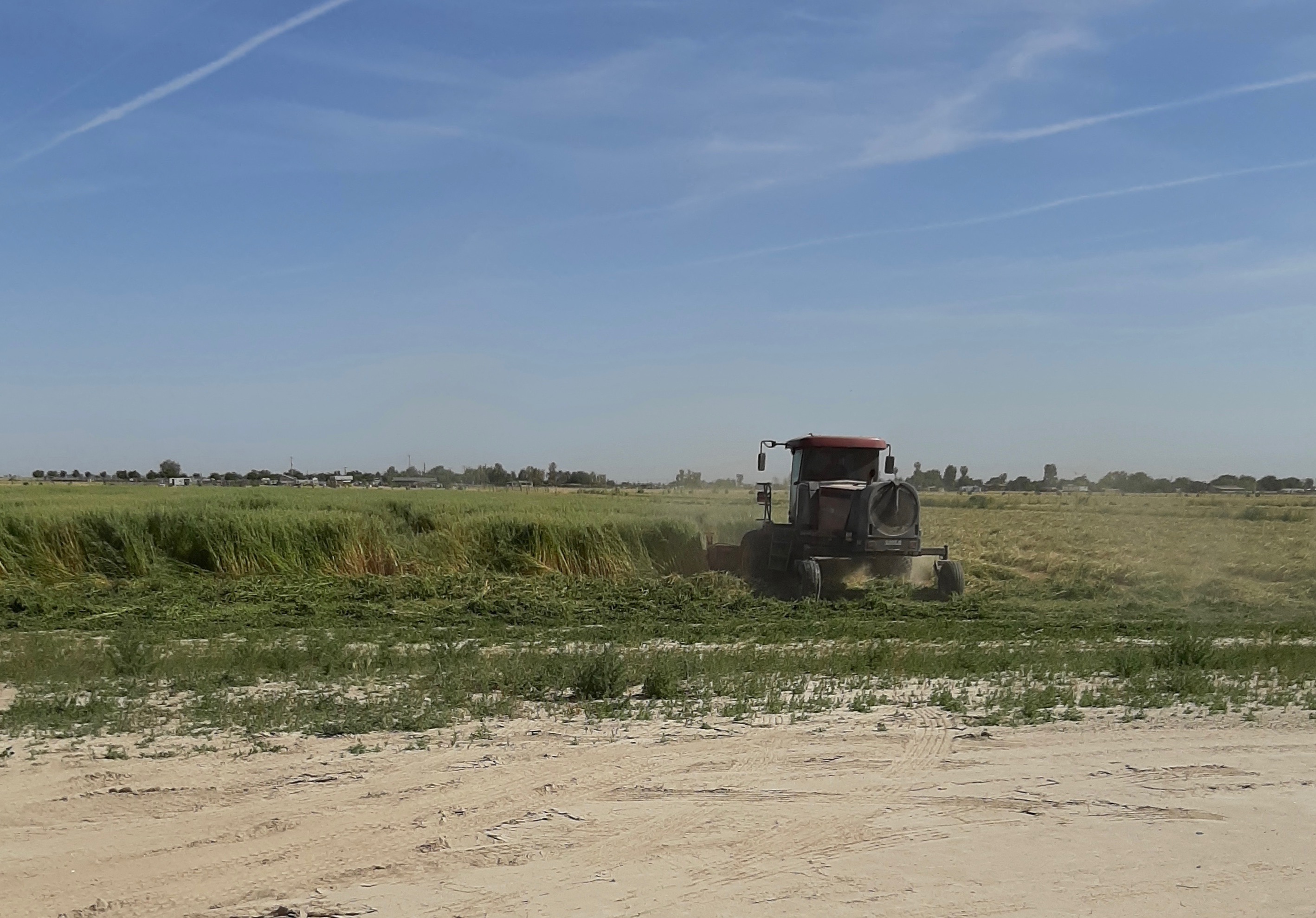 TAC Farm has received small government grants to upgrade its pump and irrigation pipe, and to build up nutrients in the soil [Courtesy of Kayode Kadara and Dennis Hutson]