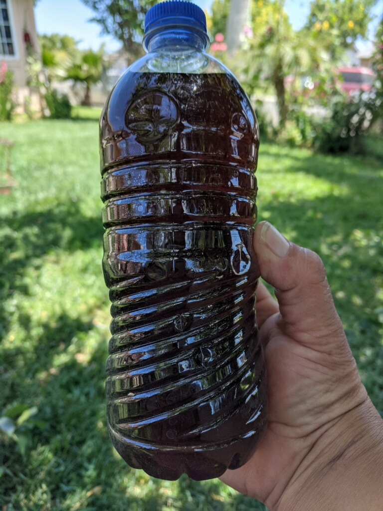 In some communities in the San Joaquin Valley, the tap water runs black due to high levels of manganese [Courtesy of Jose Pablo Ortiz-Partida]