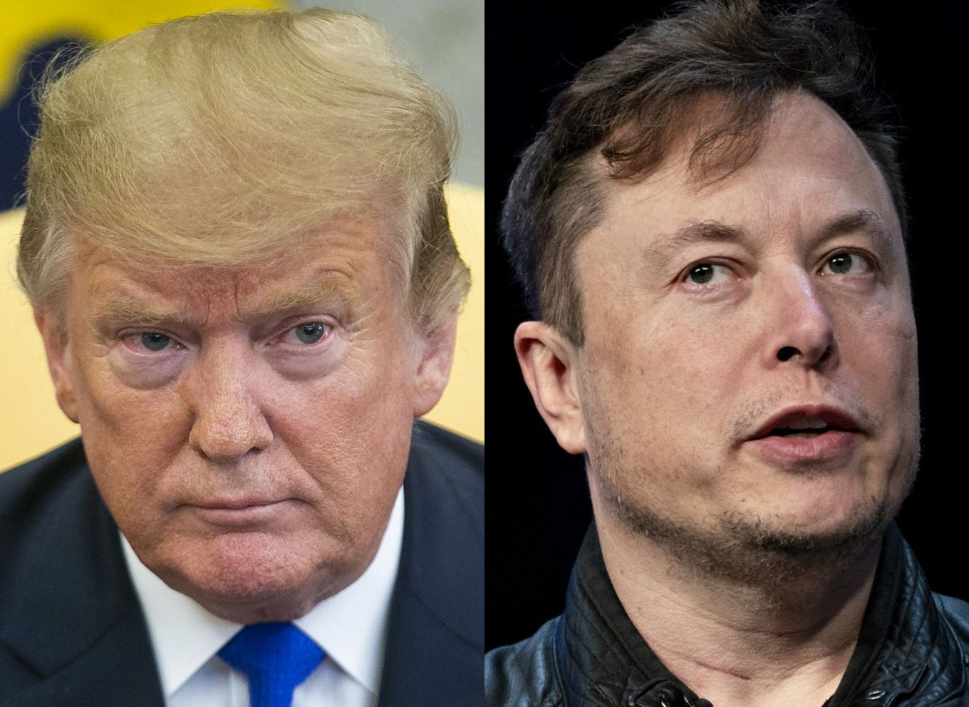 Trump and Elon Musk