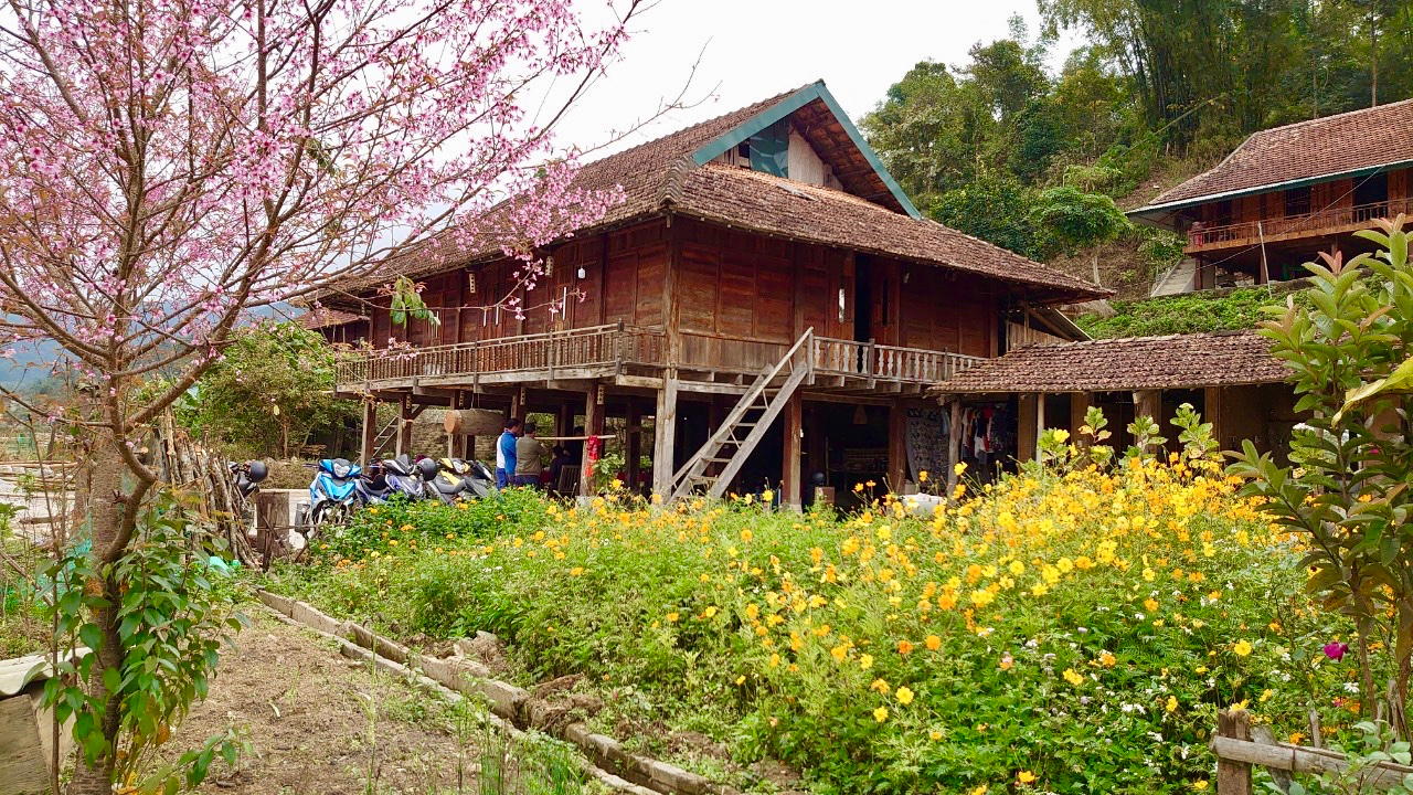 Phuan Doc Homestay welcomes tourists to experience the local scenery and culture of Dien Bien Phu