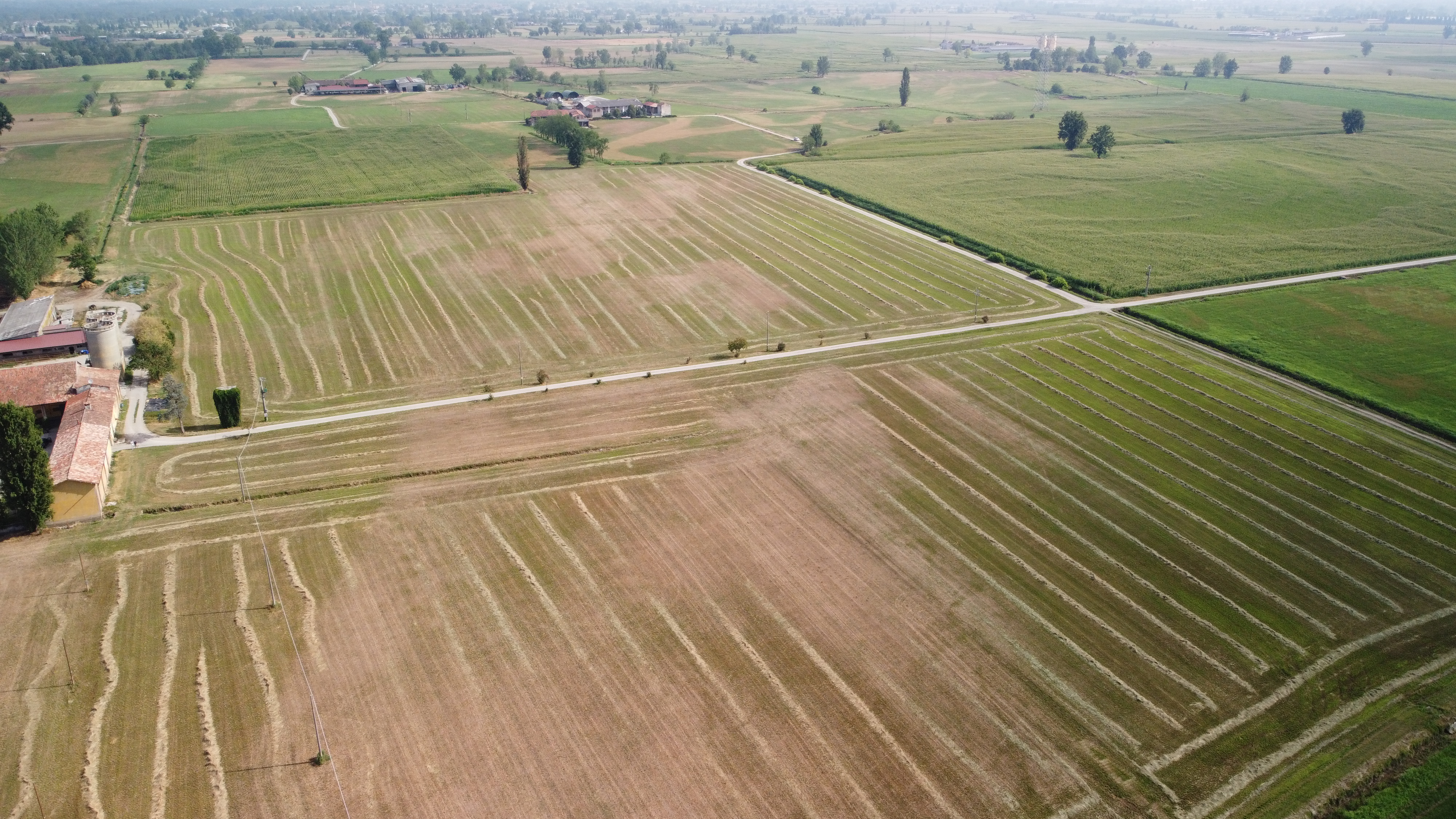 A field of crops in Italy
