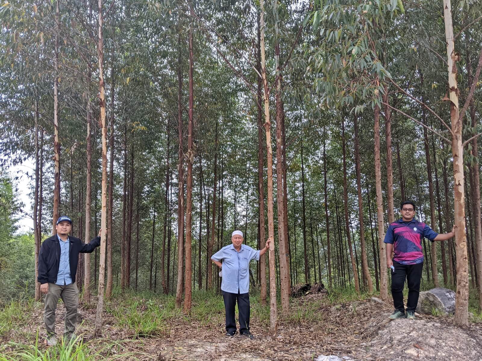 Abdul Khalim Abu Samah and his staff at a visit to a eucalyptus forest plantation in Kelantan.