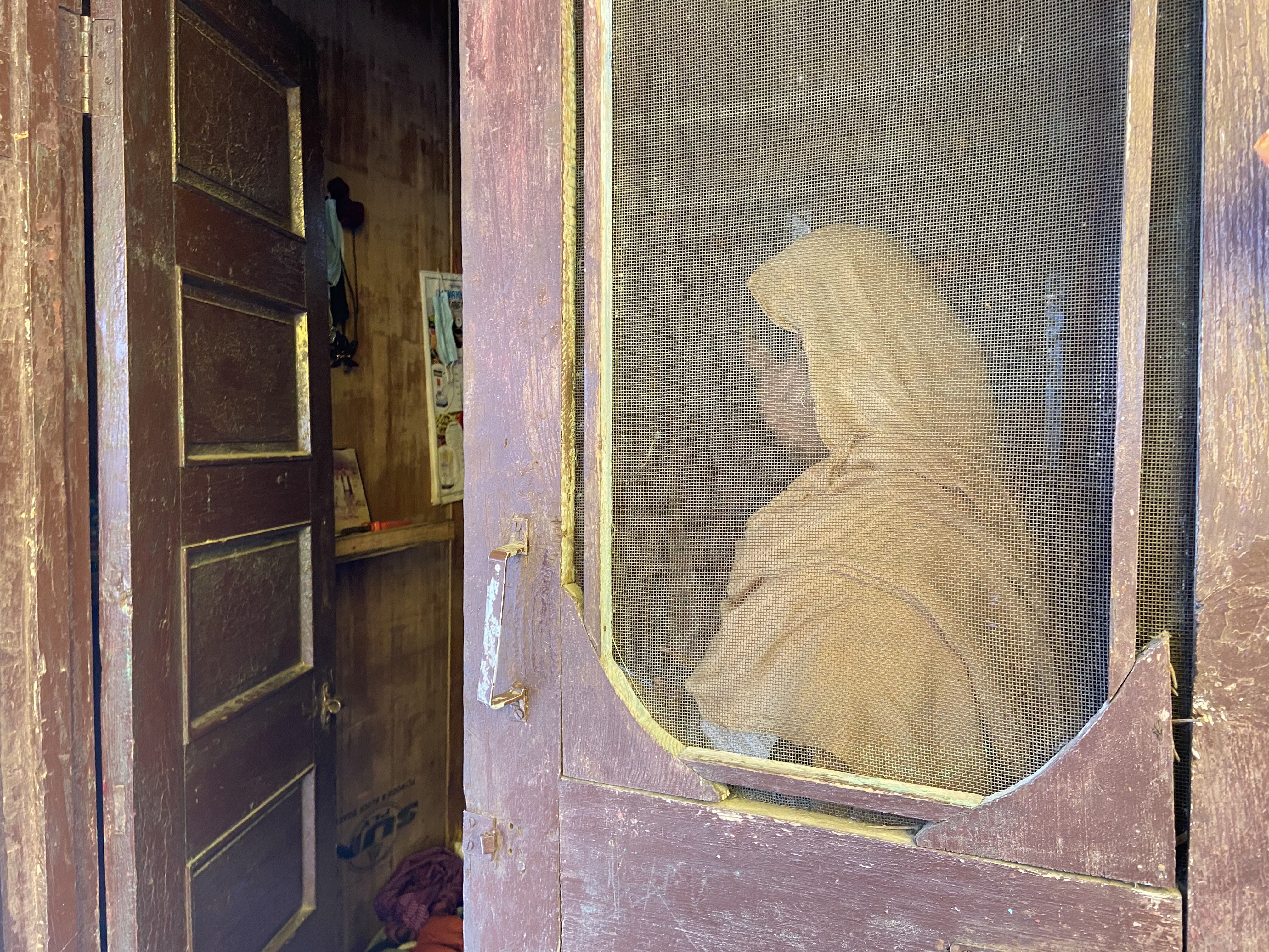 A photo of a woman sitting seen through a mesh on a door window to the inside of a building.