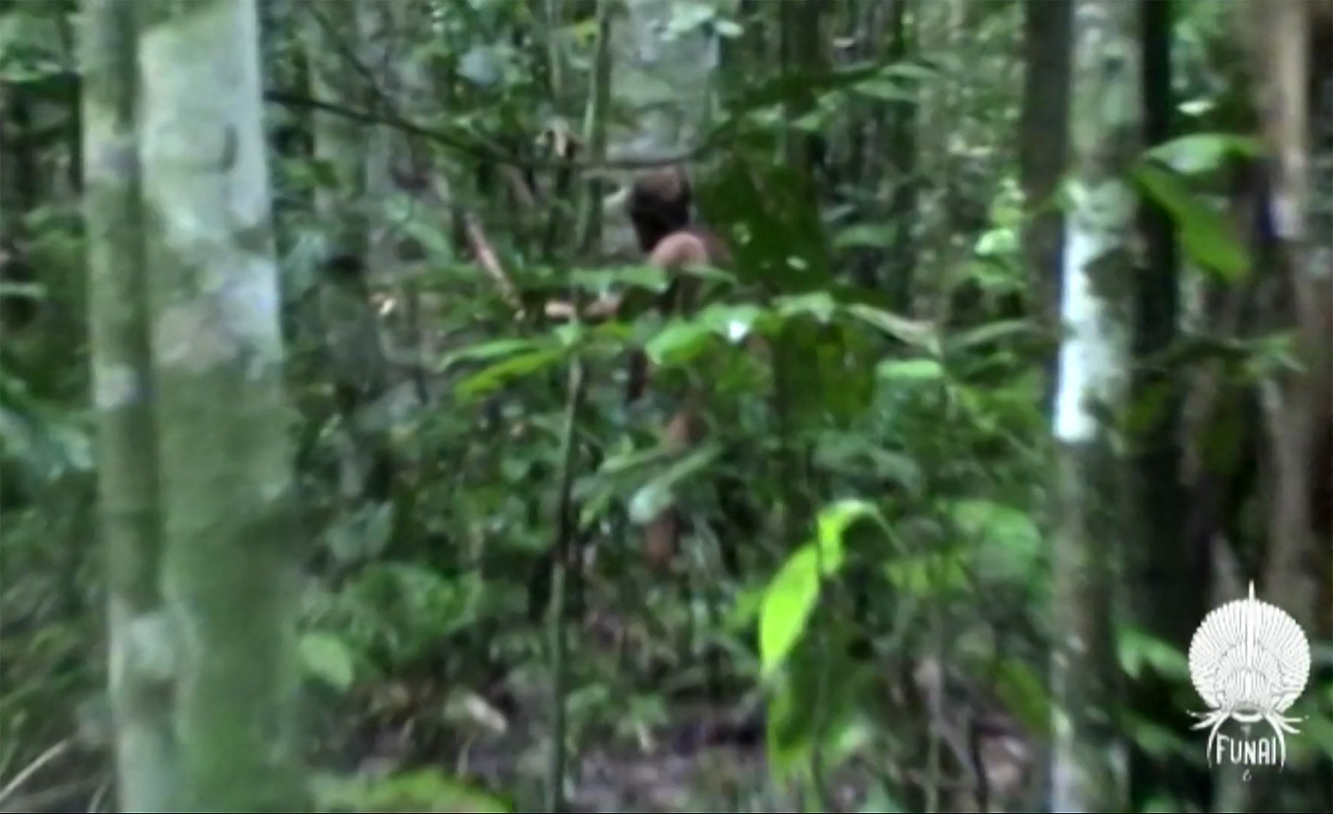 A glimpse of the Indigenous man through jungle trees and plants.
