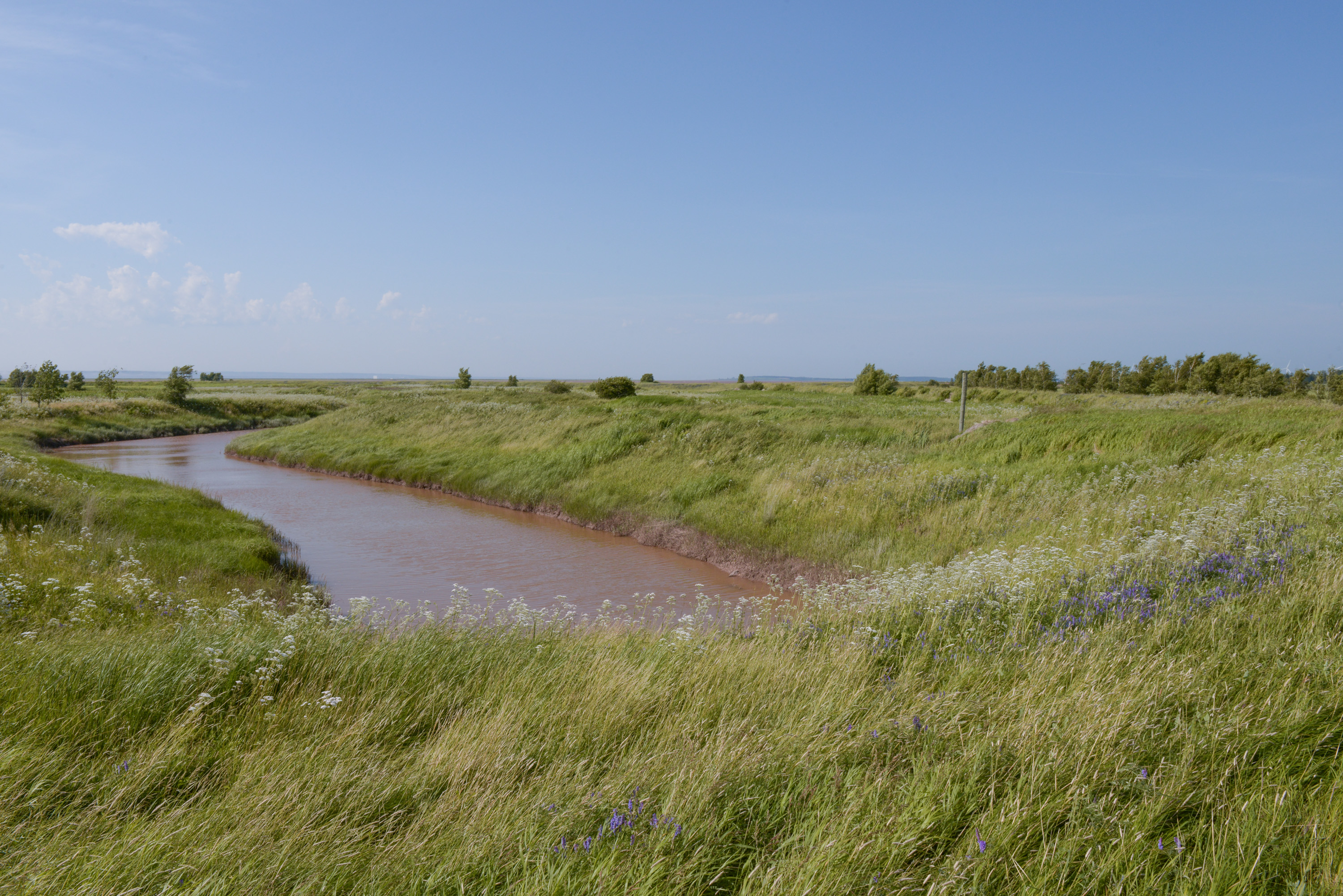 Locals in Nova Scotia and New Brunswick have been warning of the need for long-term protection from flooding as sea levels rise