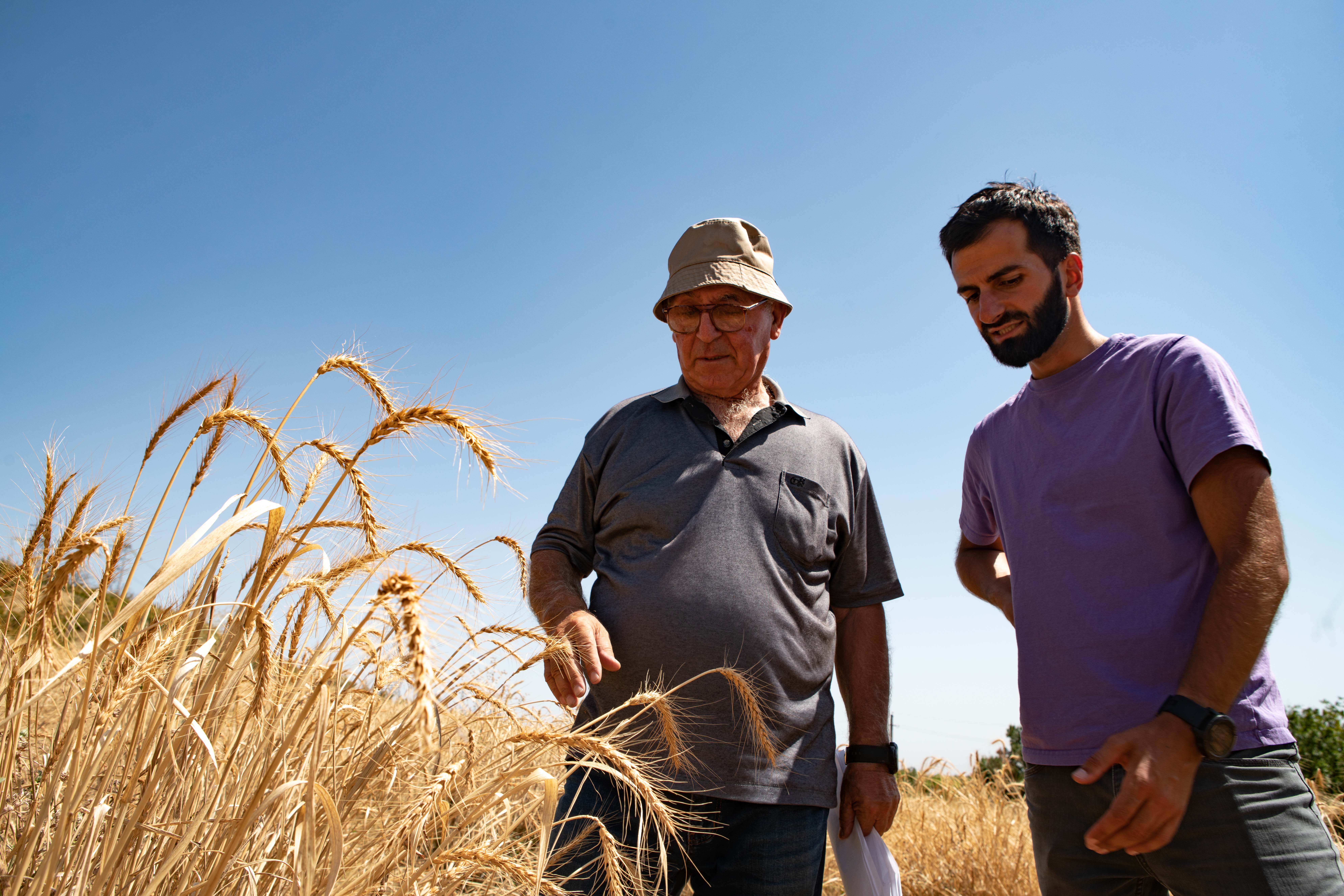 Agronomist and seed selection specialist Irakli Rekhviashvili speaks to Beka Aslanishvili, a young farmer who plans to start growing wheat