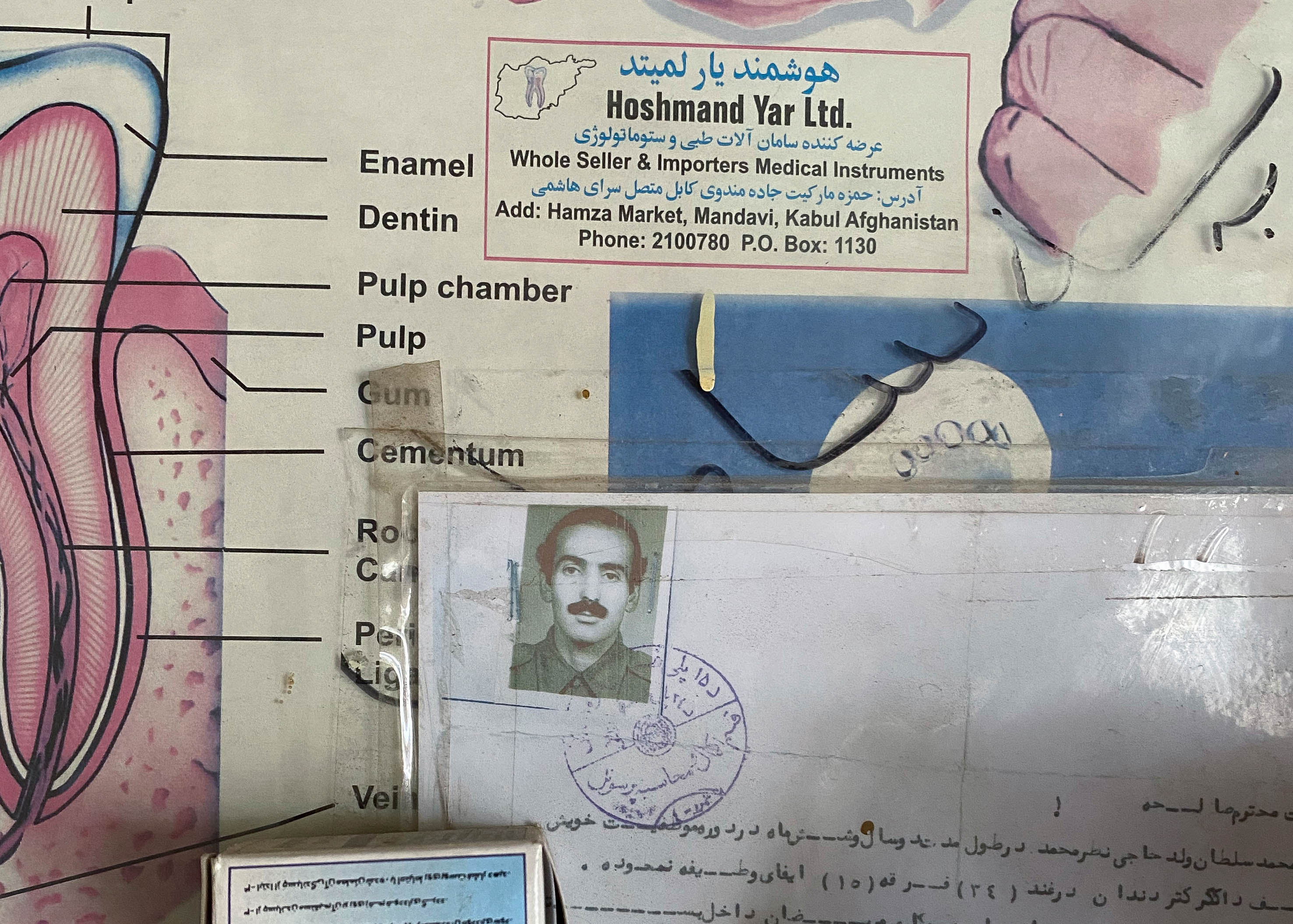 A photo of a poster with diagrams of teeth.