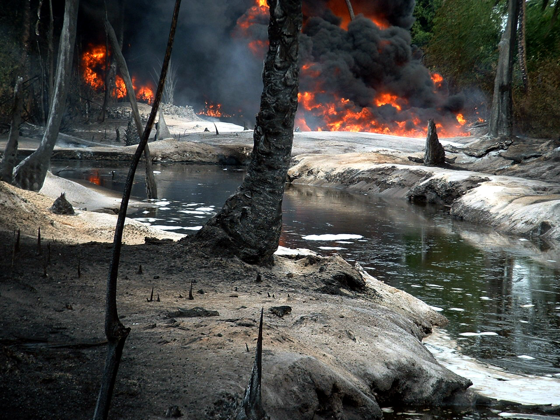 Oil from a leaking pipeline burns in Goi-Bodo, a swamp area of the Niger Delta in Nigeria