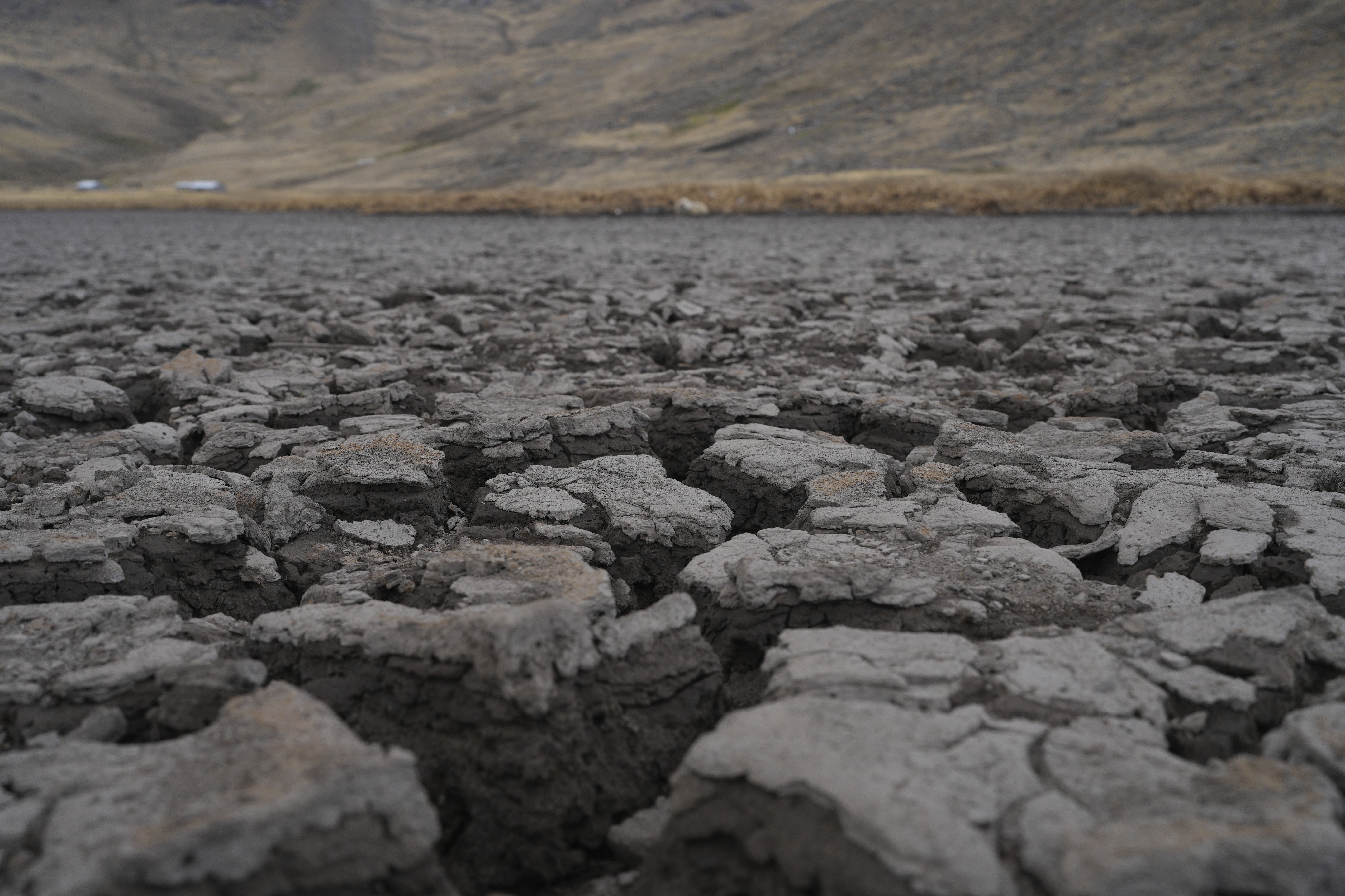 Dry earth crusts on the bed of the Cconchaccota lagoon