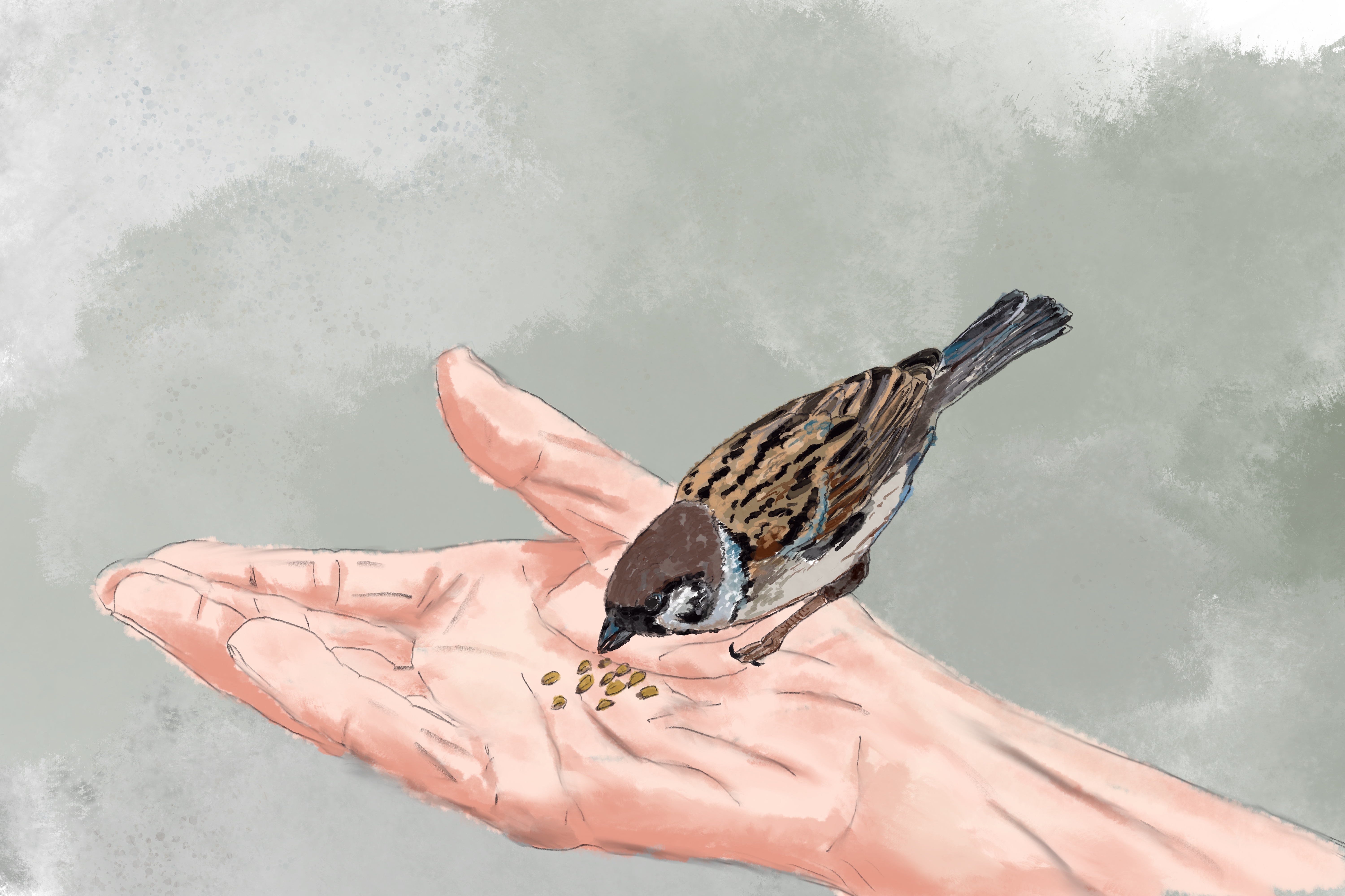 An illustration of a sparrow in a hand