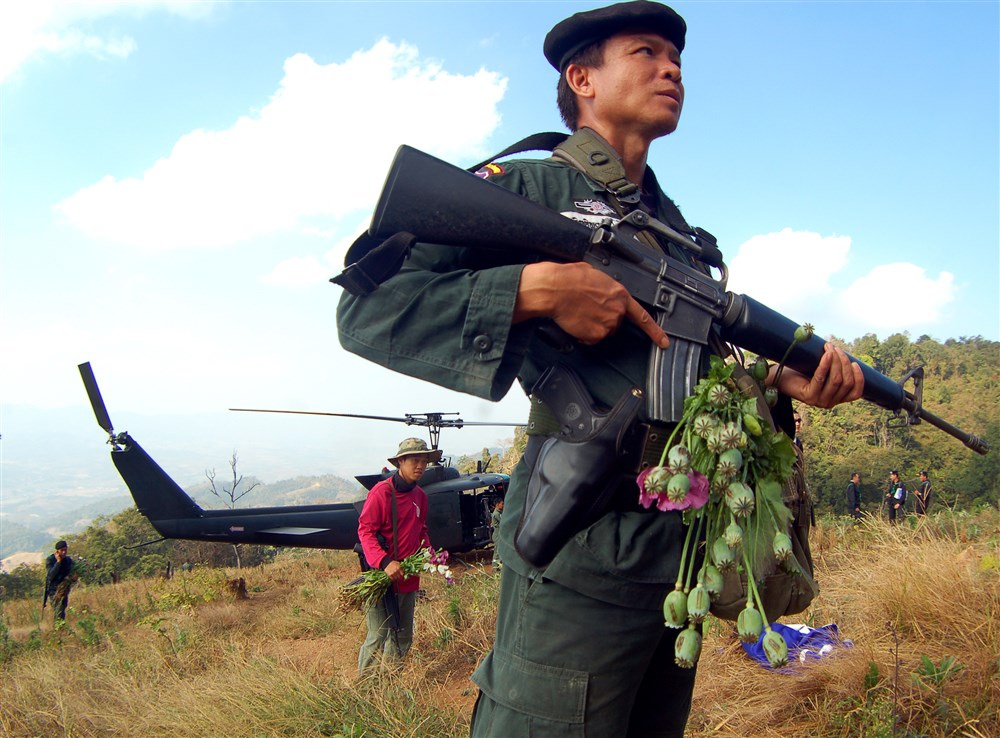 epa02514518 Thai border patrol policemen work on to destroy opium poppy field during their operation near ethnic hill tribe valley on a mountain in the Golden Triangle area at Thai-Laos border, Chiang Rai province, northern Thailand, 03 January 2011. Figures from the United Nations Office of Drugs and Crime (UNODC) reported that the opium poppy cultivation rose up to 22 per cent in the Golden Triangle region covering Thailand, Myanmar and Laos which has almost doubled in just four years and the potential value for opium production rose to 219 million US dollars or 165 million euro, increasing of 100 million US dollars or 75 million euro from a year ago apparently because of the global financial crisis. EPA/CHAICHAN CHAIMUN