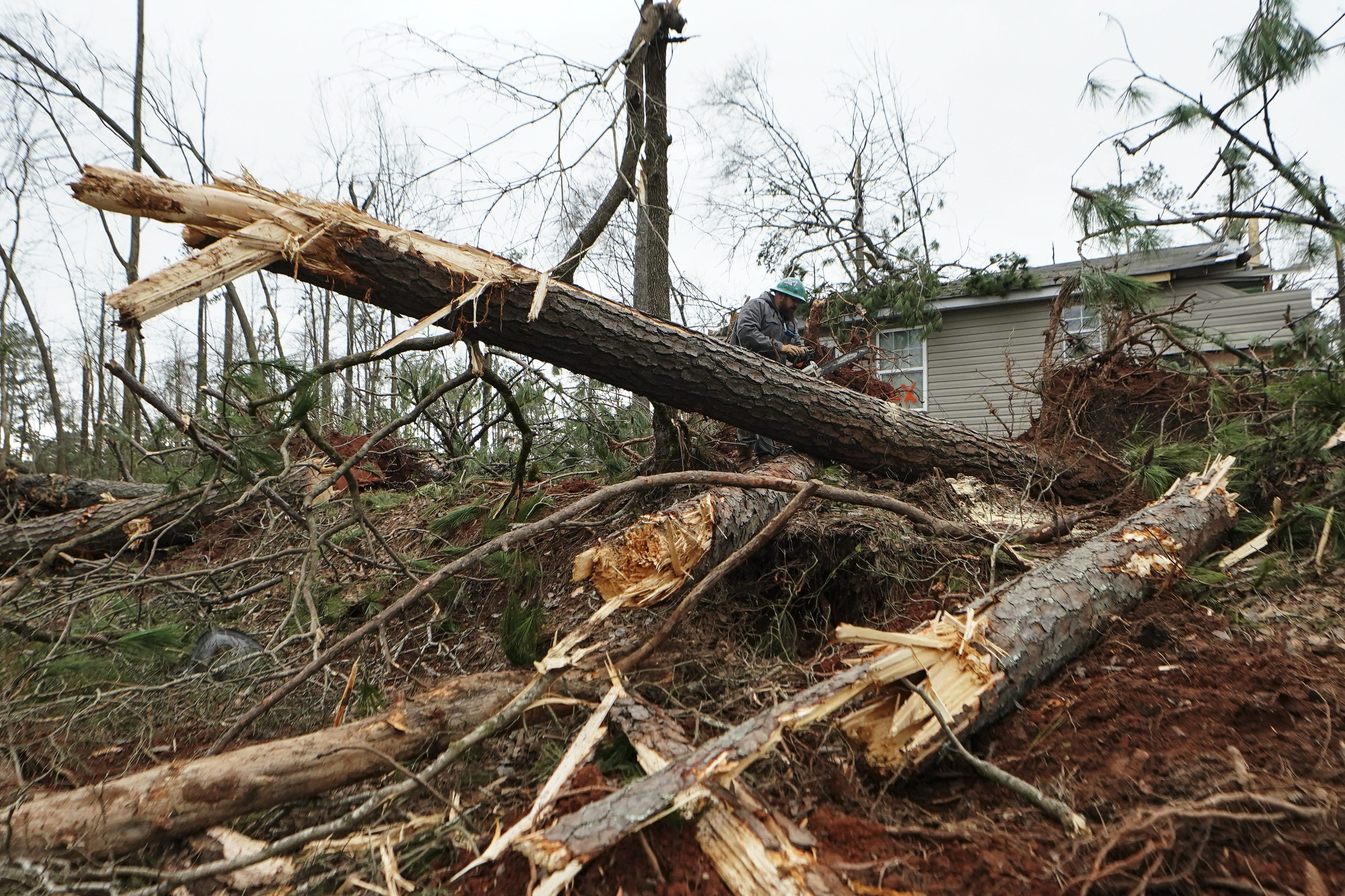 A man uses a chain saw to cut fallen trees