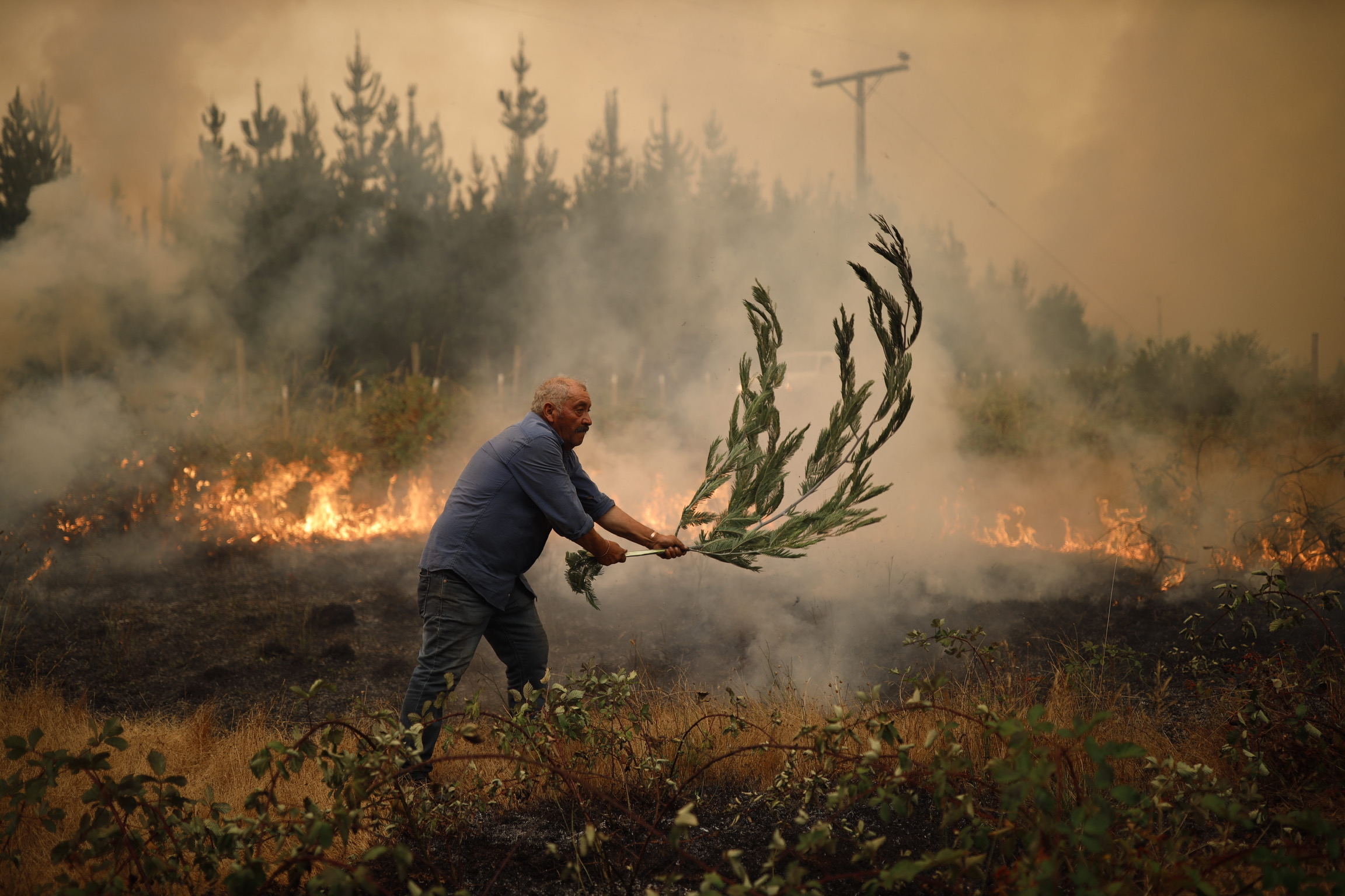 Chile wildfire