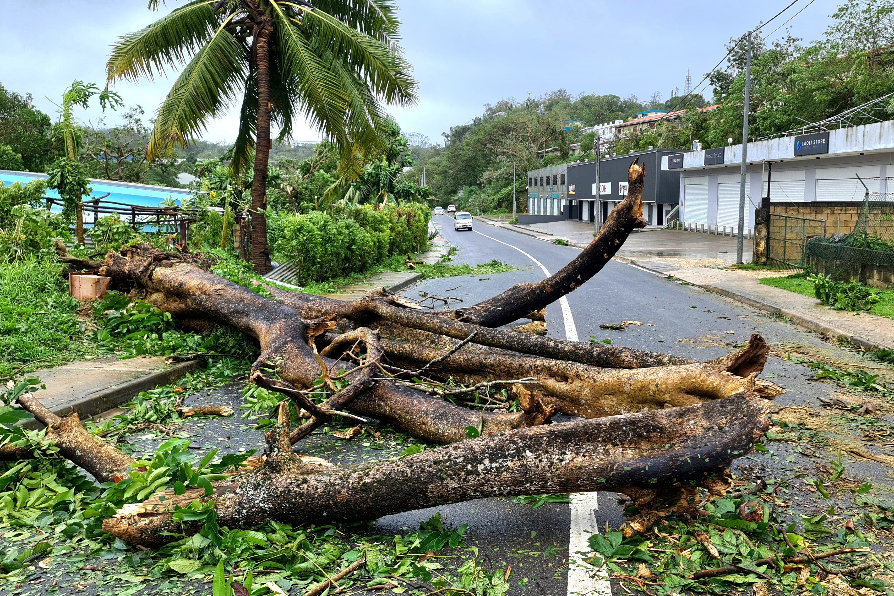 This handout picture taken on March 1, 2023 and released by Jean-Baptiste Jeangène Vilmer, French Ambassador to Vanuatu and Solomon Islands, shows a road blocked by the uprooted trees after Cyclone Judy made landfall in Port Vila, Vanuatu. (Photo by Jean-Baptiste Jeangène Vilmer / French Embassy in Vanuuatu and Solomon Islands / AFP) / RESTRICTED TO EDITORIAL USE - MANDATORY CREDIT "AFP PHOTO / FRENCH EMBASSY VANUATU AND SOLOMON ISLANDS/ JEAN-BAPTISTE JEANGENE VILMER- NO MARKETING NO ADVERTISING CAMPAIGNS - DISTRIBUTED AS A SERVICE TO CLIENTS-NO ARCHIVES - RESTRICTED TO EDITORIAL USE - MANDATORY CREDIT "AFP PHOTO / FRENCH EMBASSY VANUATU AND SOLOMON ISLANDS/ JEAN-BAPTISTE JEANGENE VILMER- NO MARKETING NO ADVERTISING CAMPAIGNS - DISTRIBUTED AS A SERVICE TO CLIENTS-NO ARCHIVES /