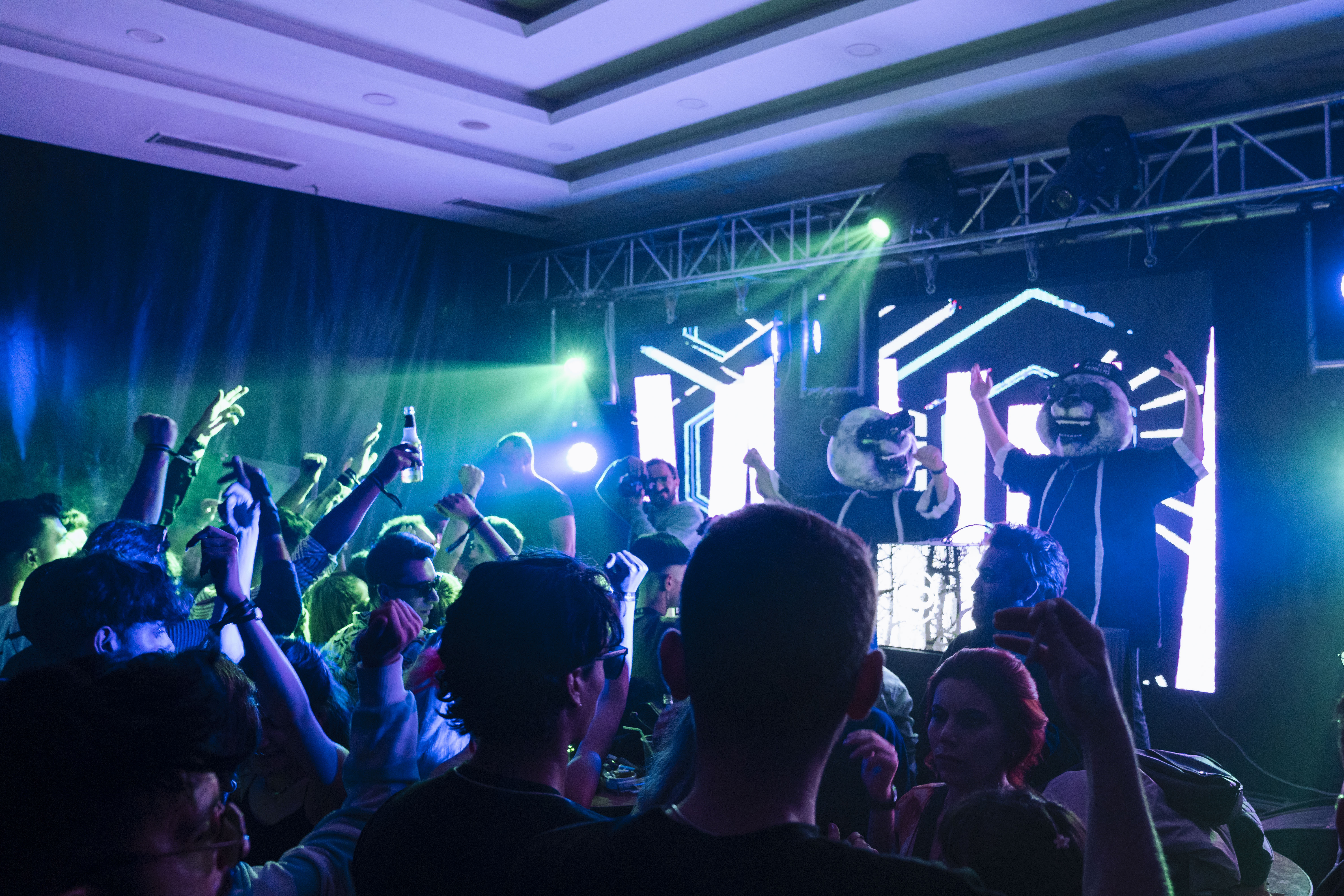 A photo of two DJs and musicians wearing panda masks performing for an audience dancing and singing.