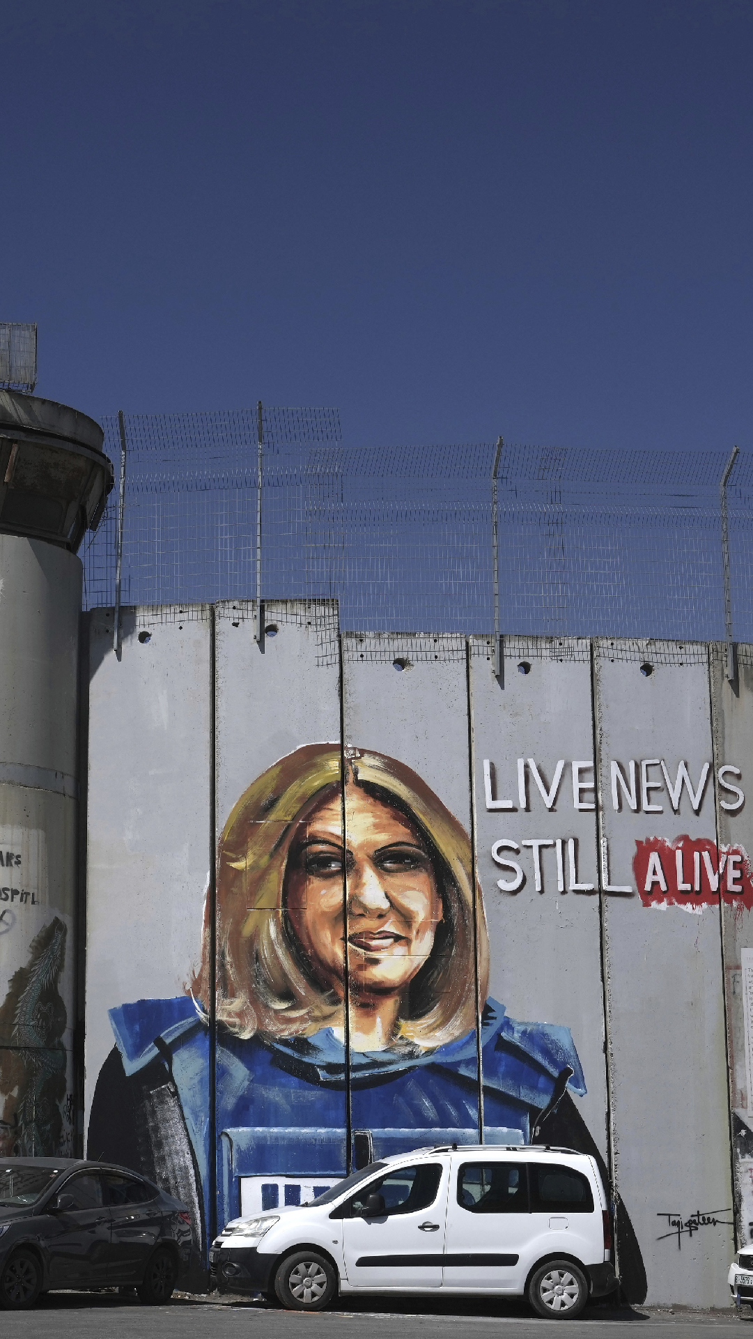 Shireen longform separation barrier 9 x 16