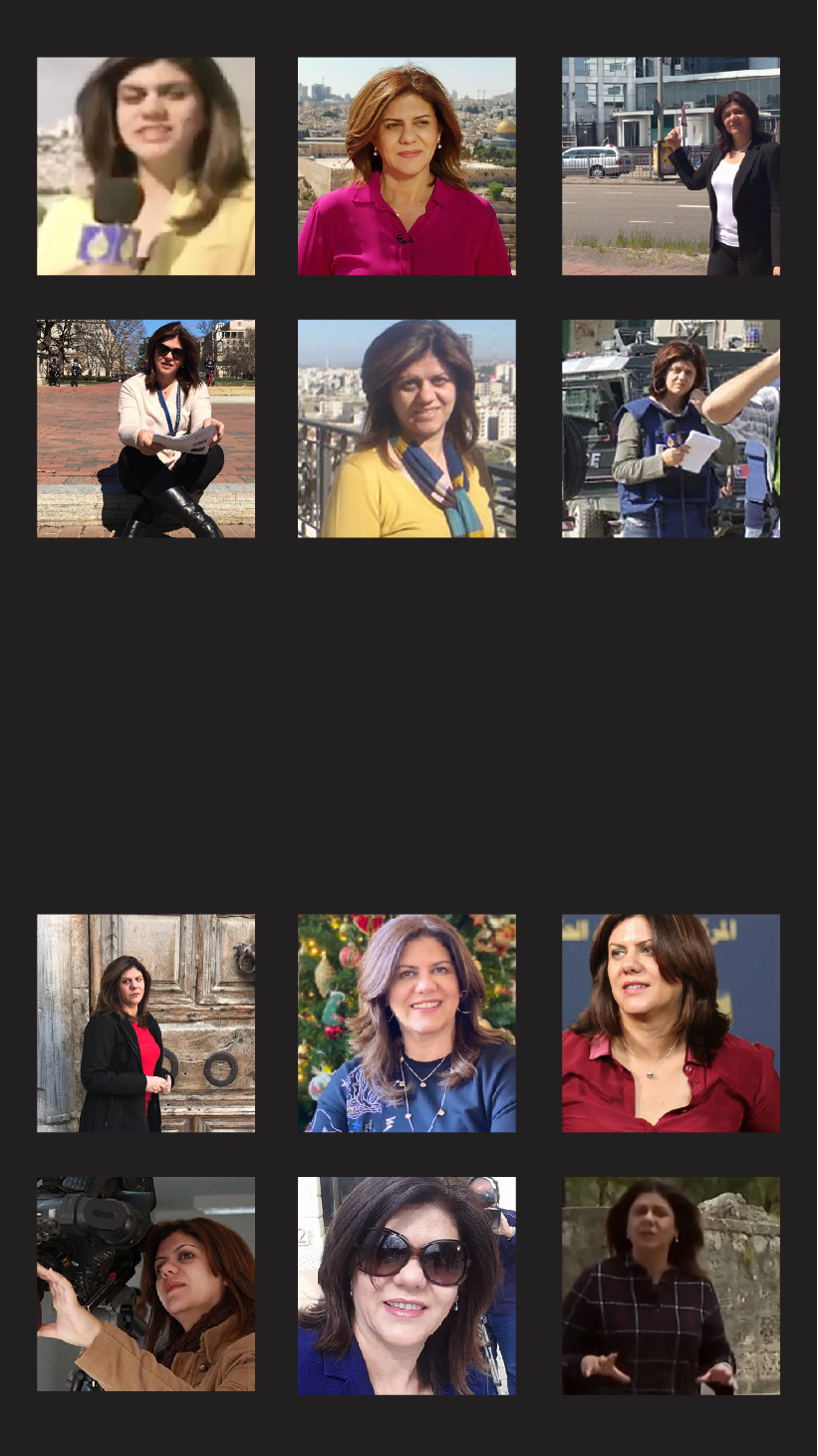 Shireen 9 x16 opener