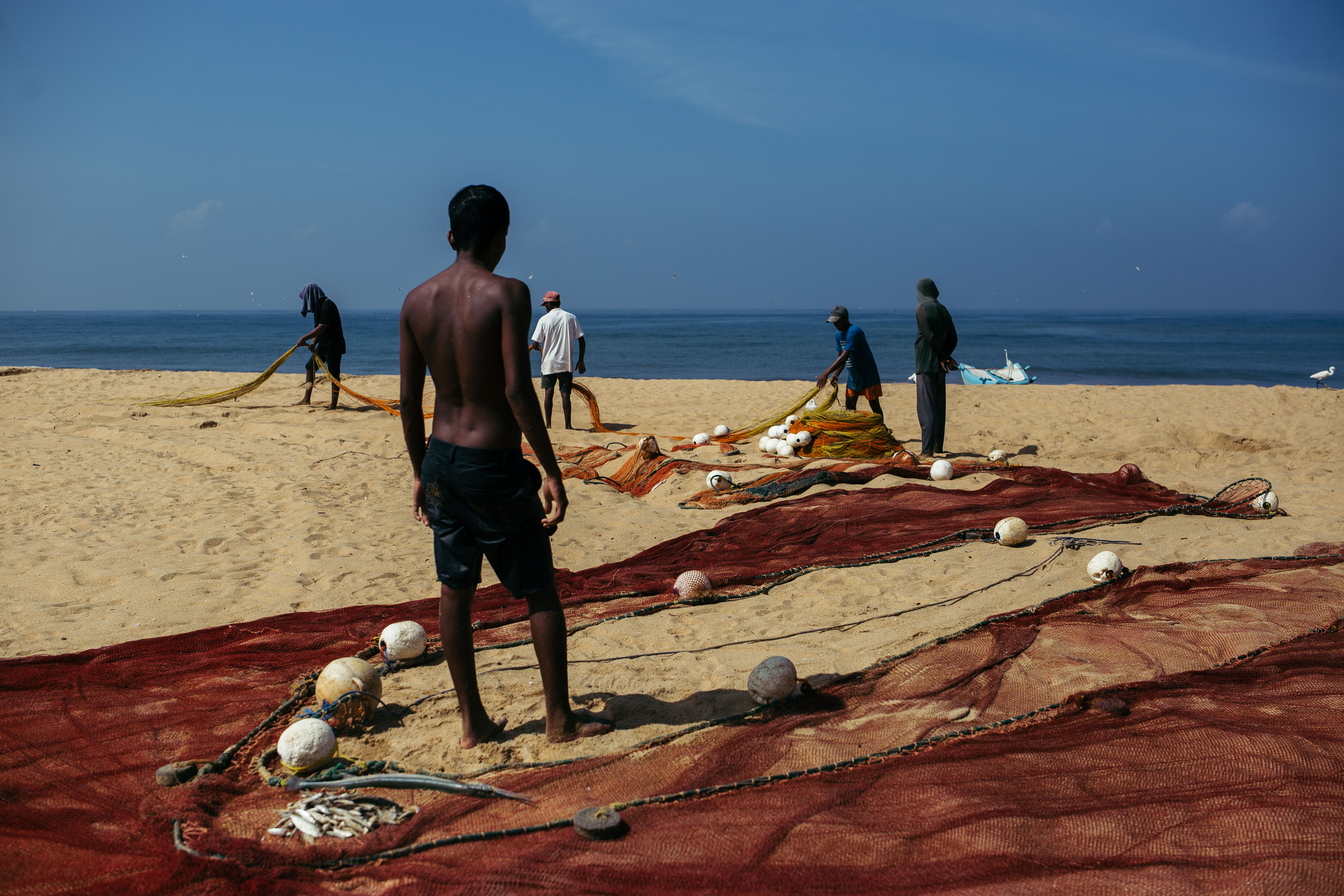 Boys managing the beach seine nets after hauling in the day's catch, by Negombo Lagoon, which was quite poor that day