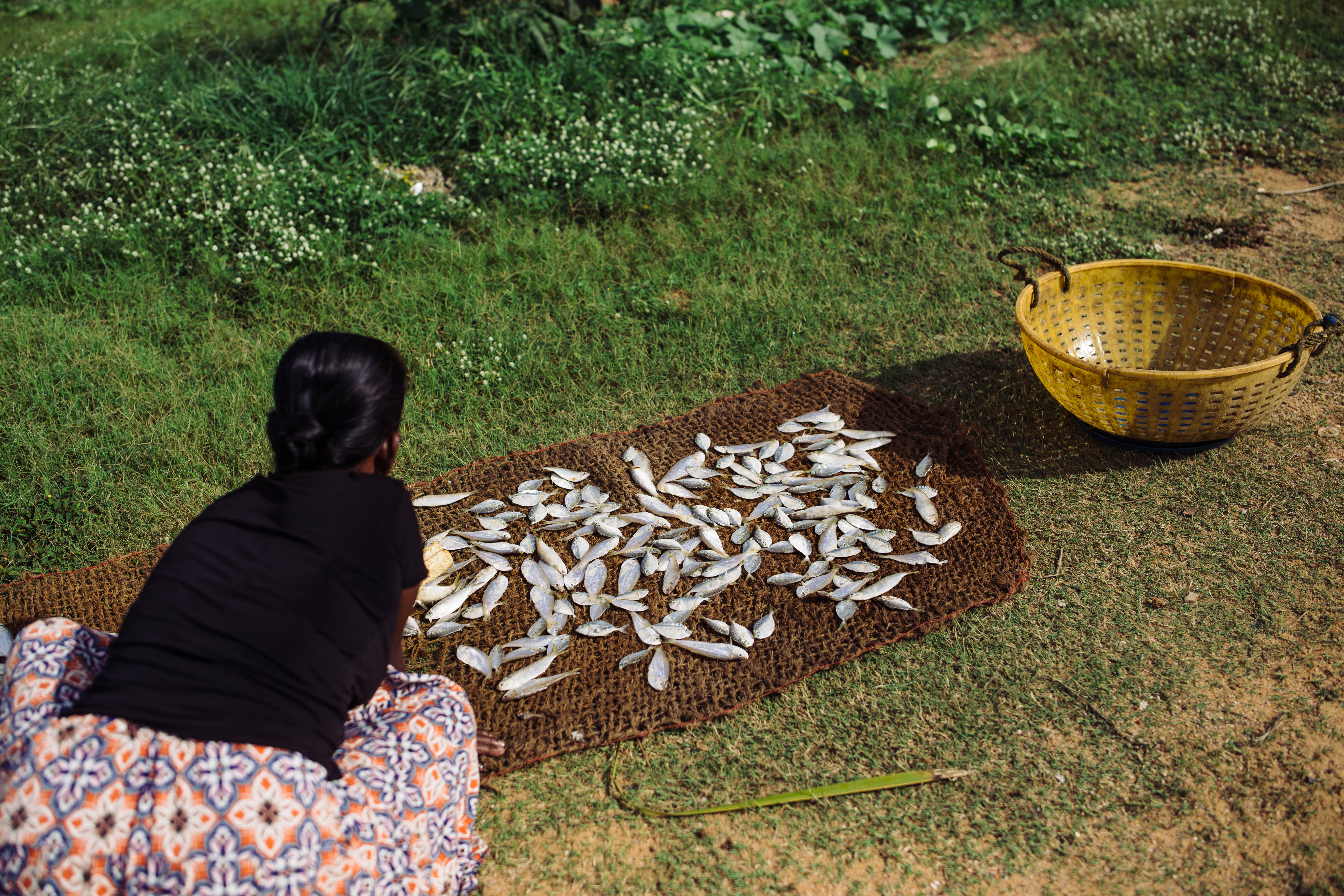 There is no clear trajectory of alternative jobs for fishers