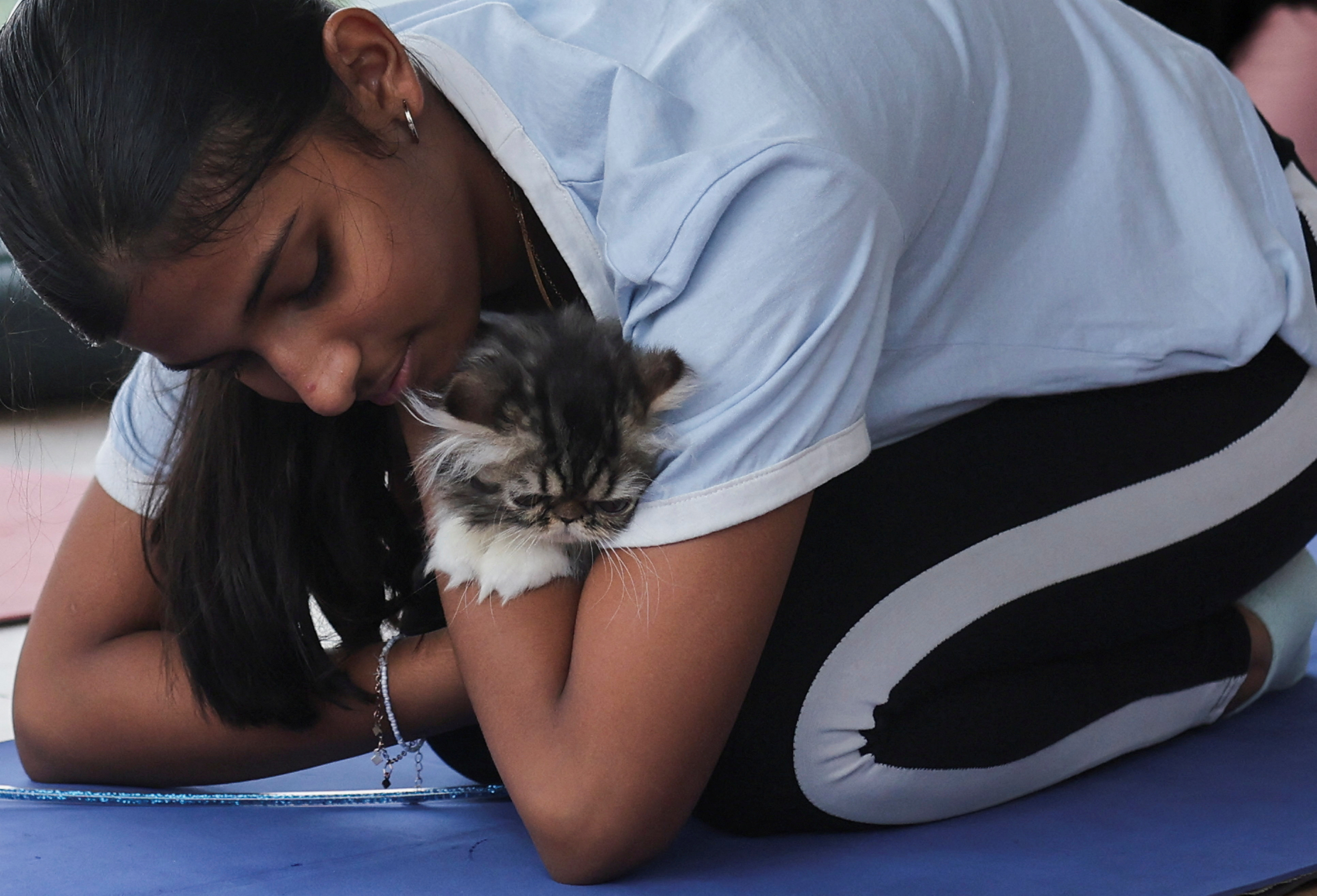 kitten yoga session