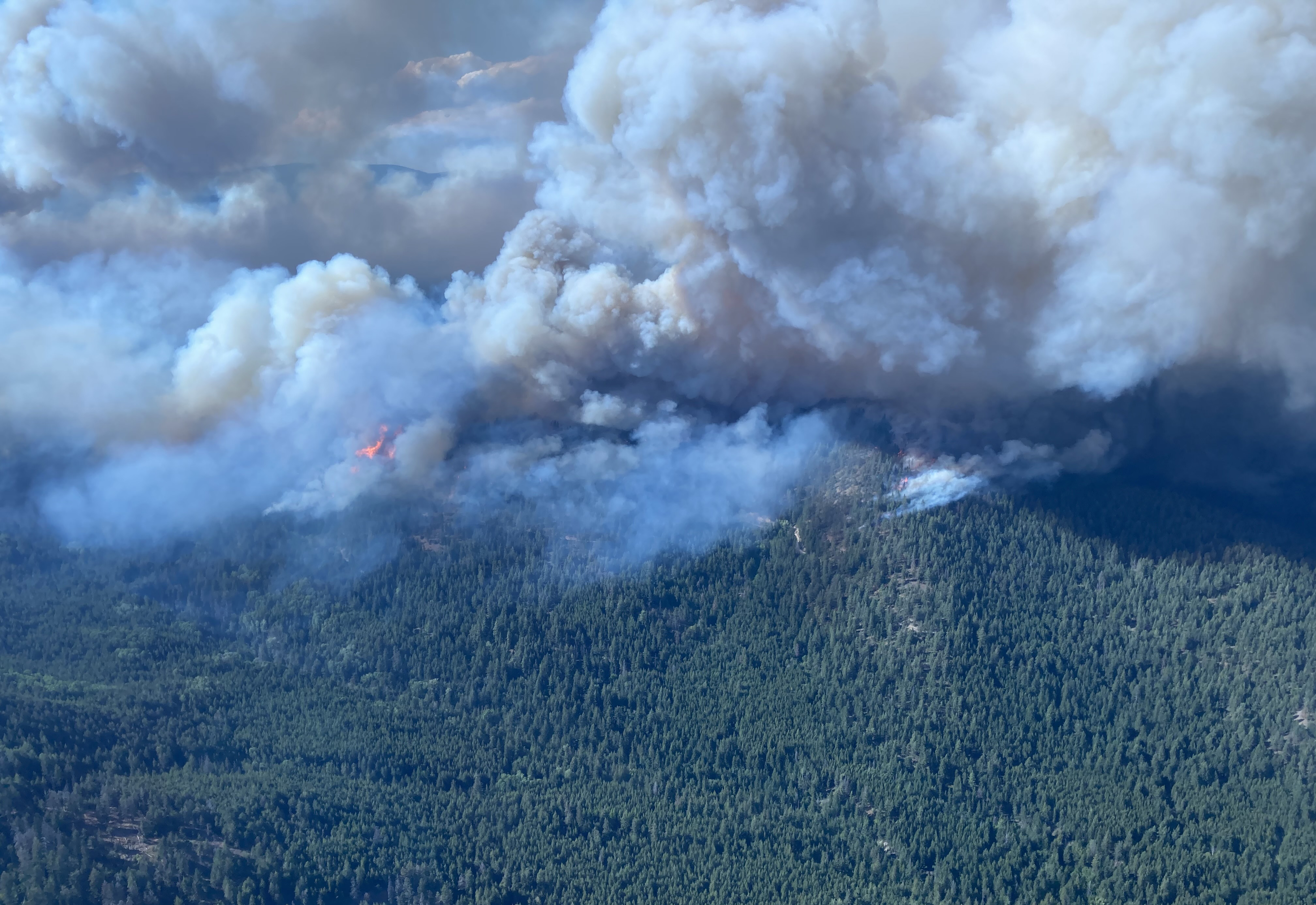 This image shows a wildfire burning in British Columbia, Canada