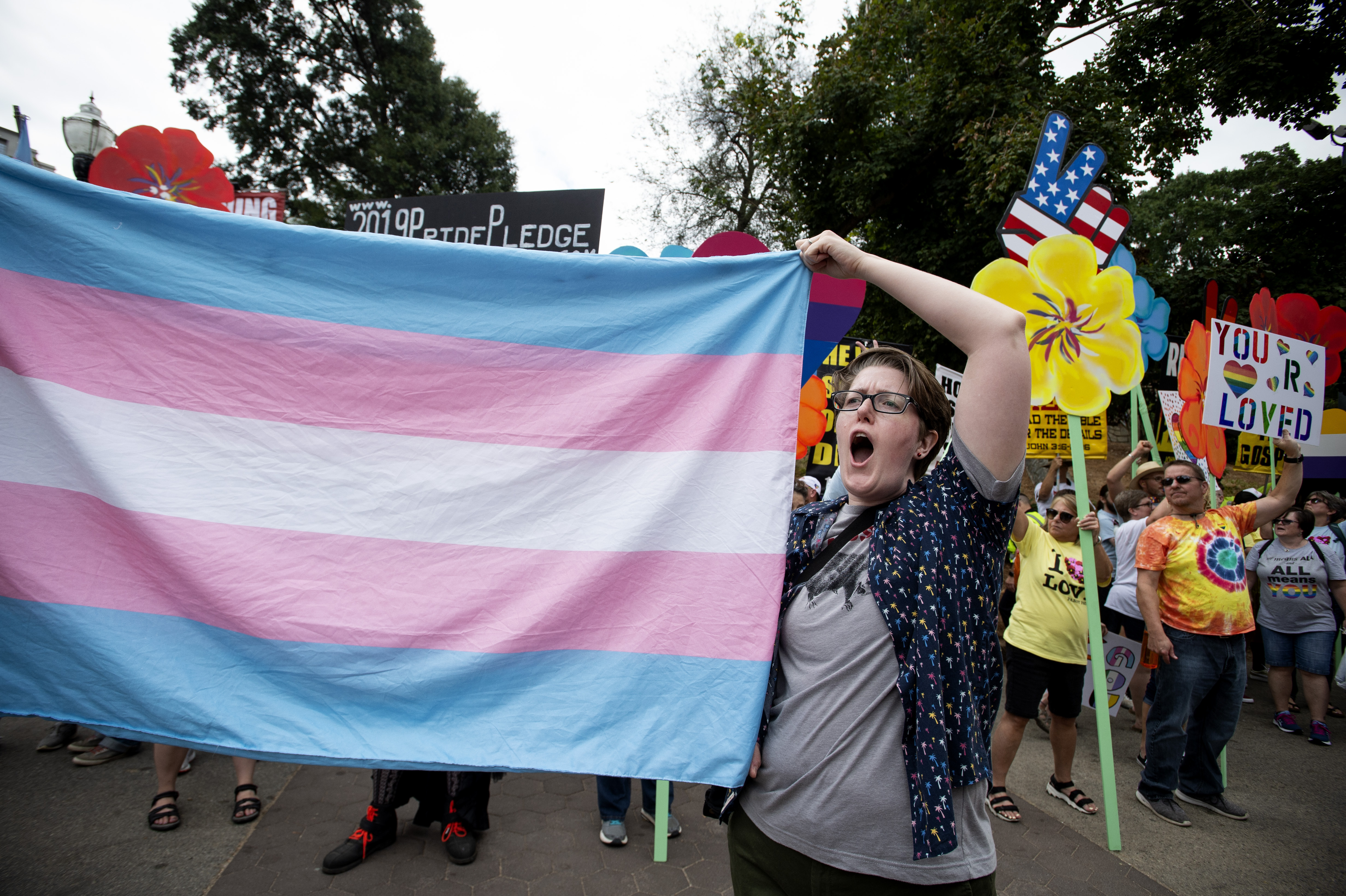 Transgender flag