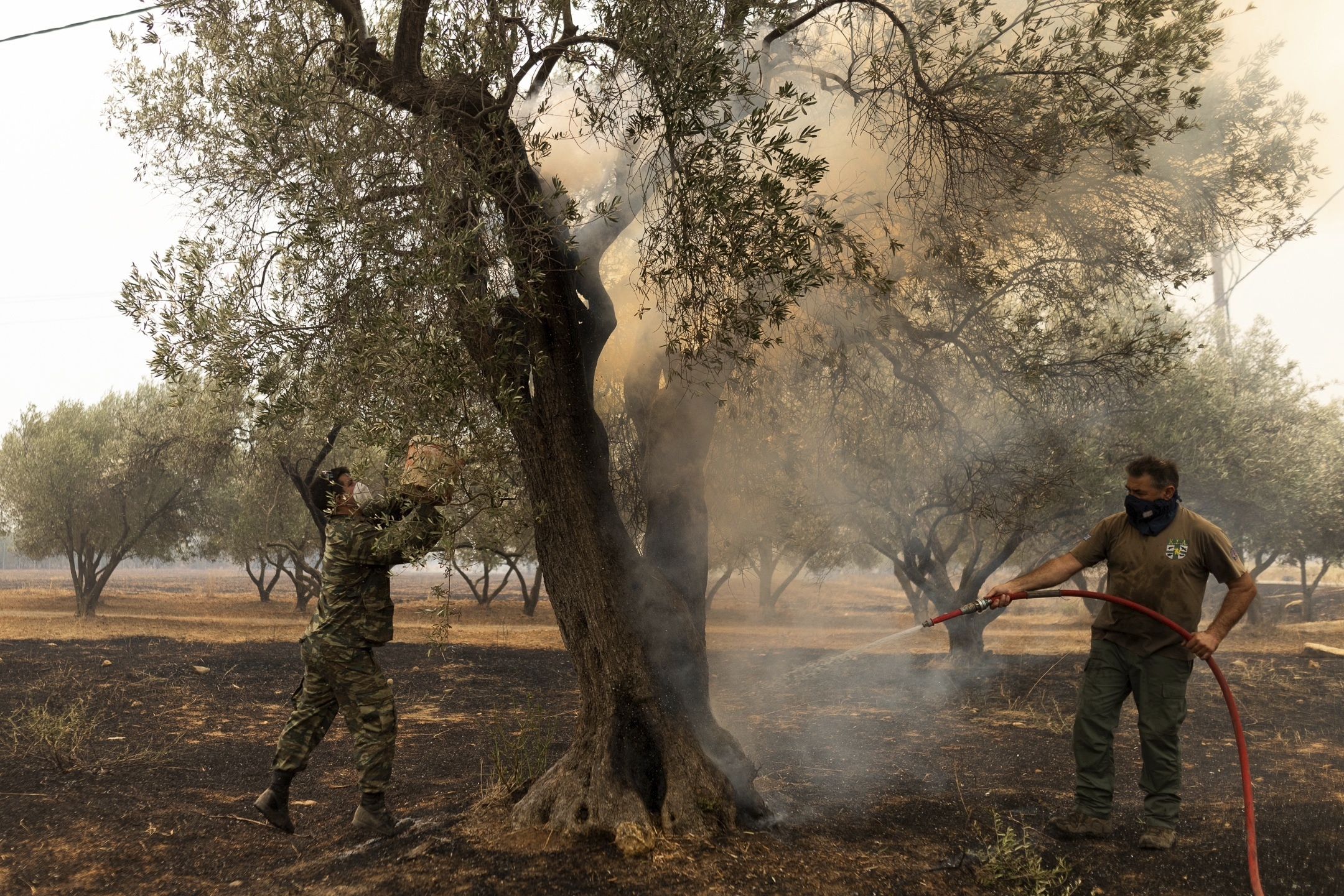 Greece Wildfires