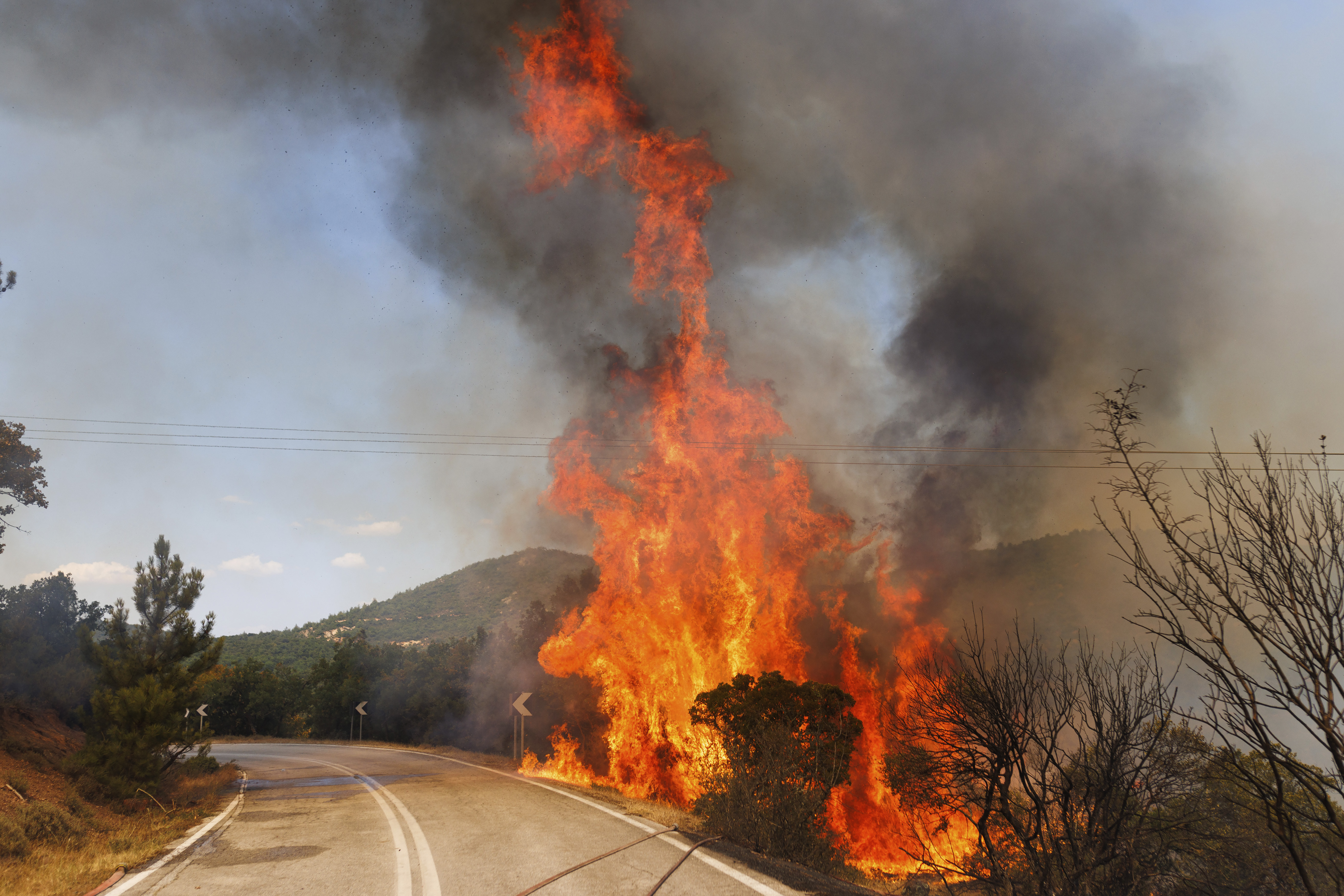 Greece Wildfires