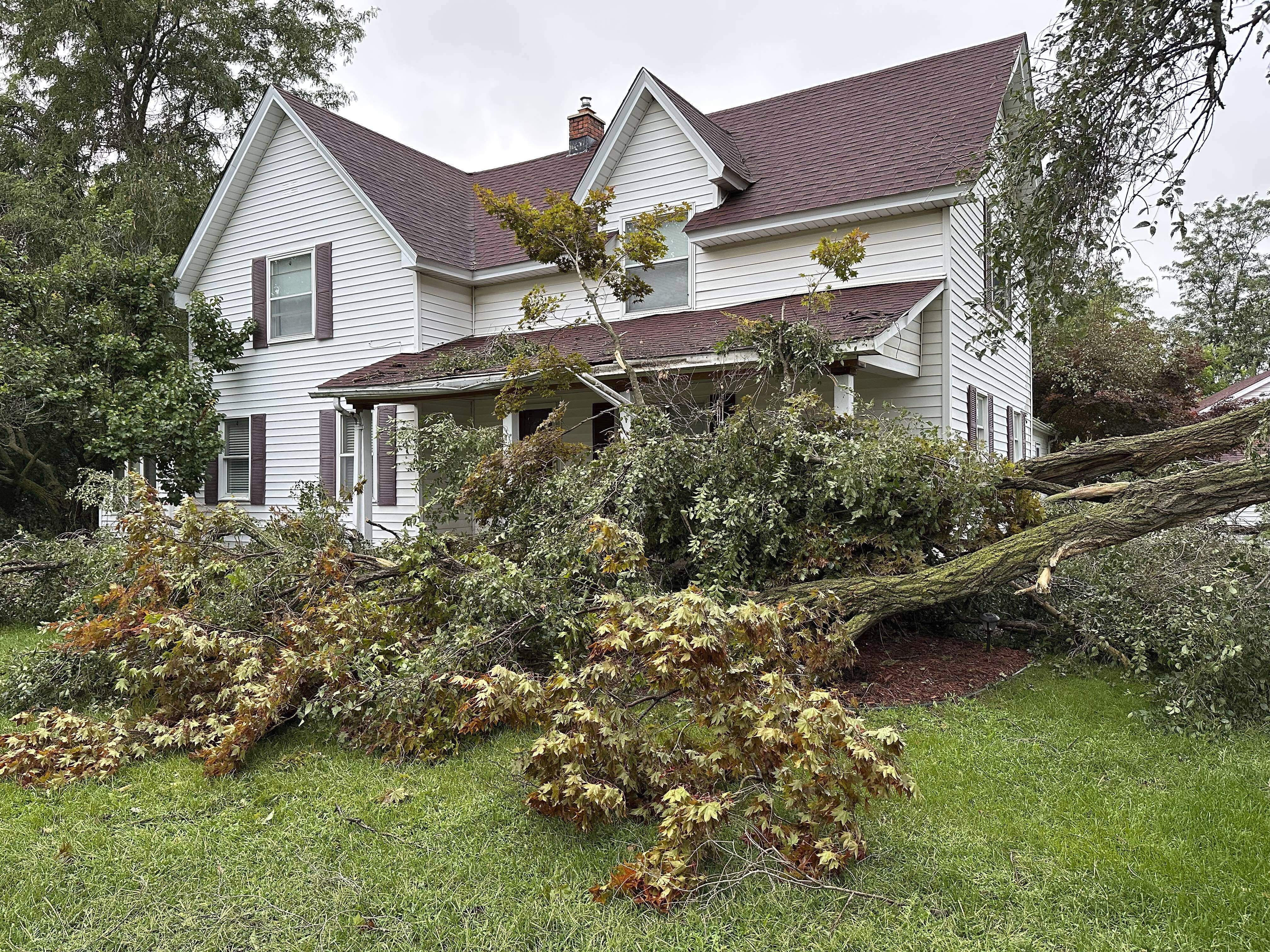 A white two-story house is seen with toppled trees crashed around its front lawn.